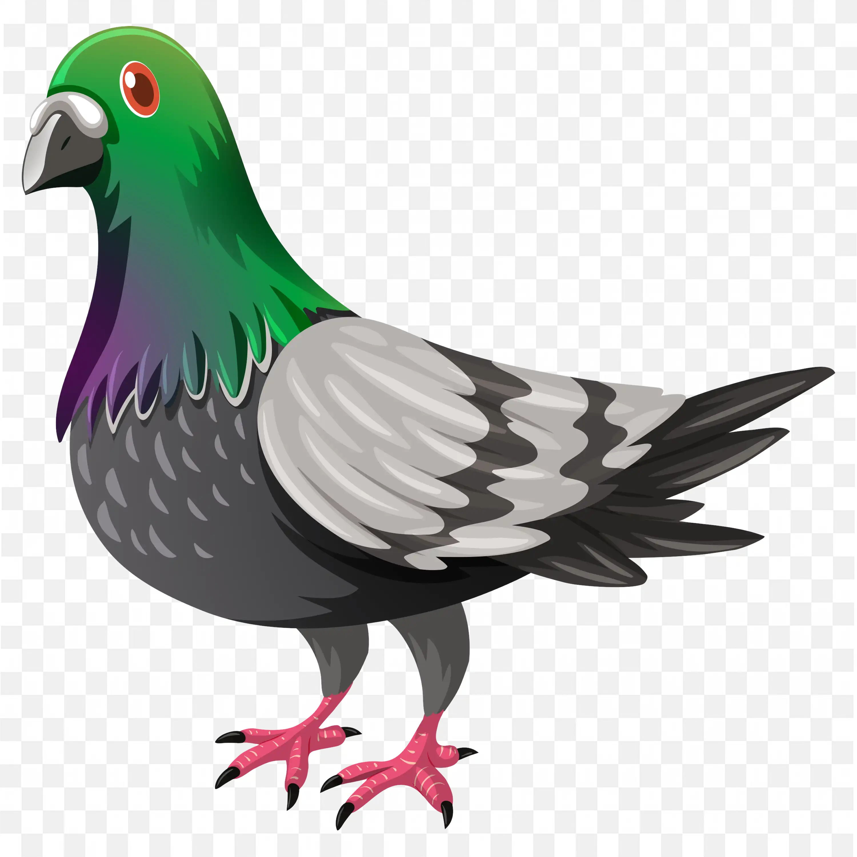 Pigeon Standing Calm Pose Bird PNG Transparent Image