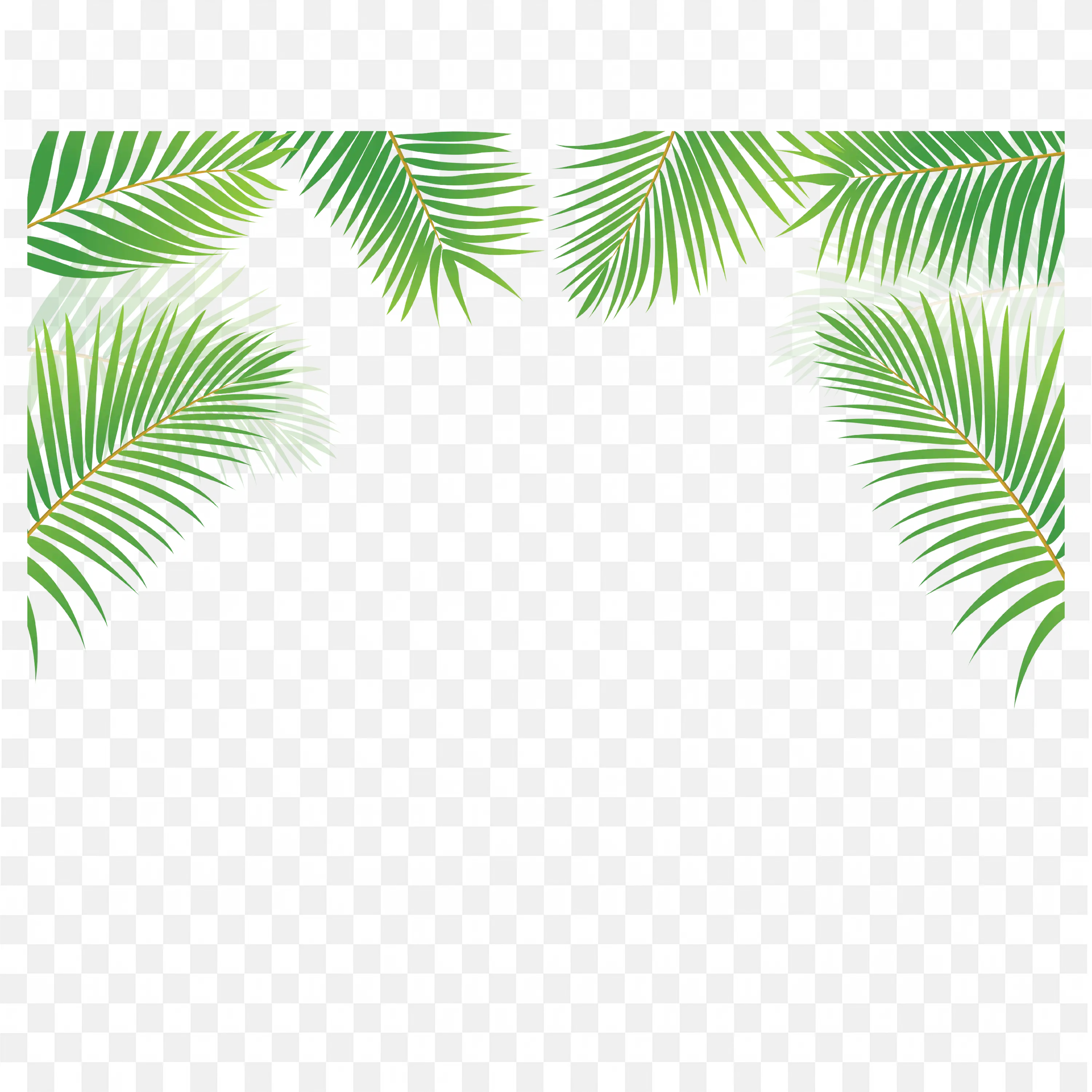 Pine Tree Branch PNG Seamless Pattern of Green Needles