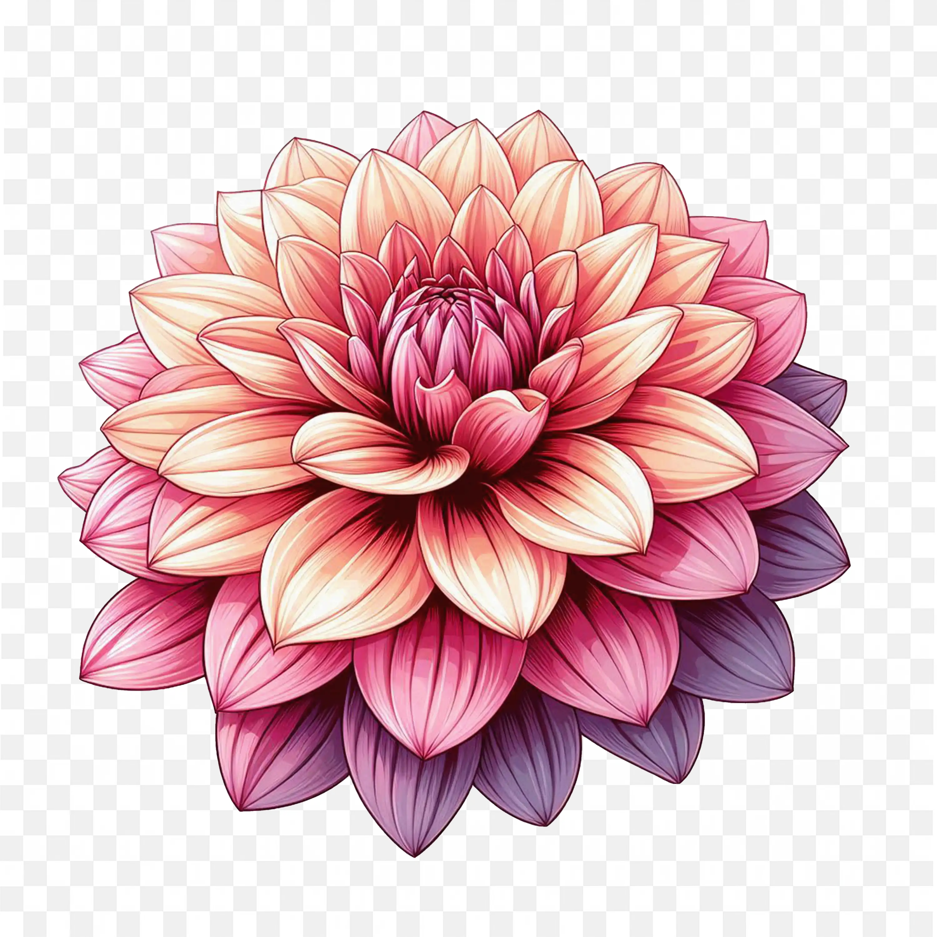 Pink Dahlia Petals PNG Detailed Nature Botanical Illustration