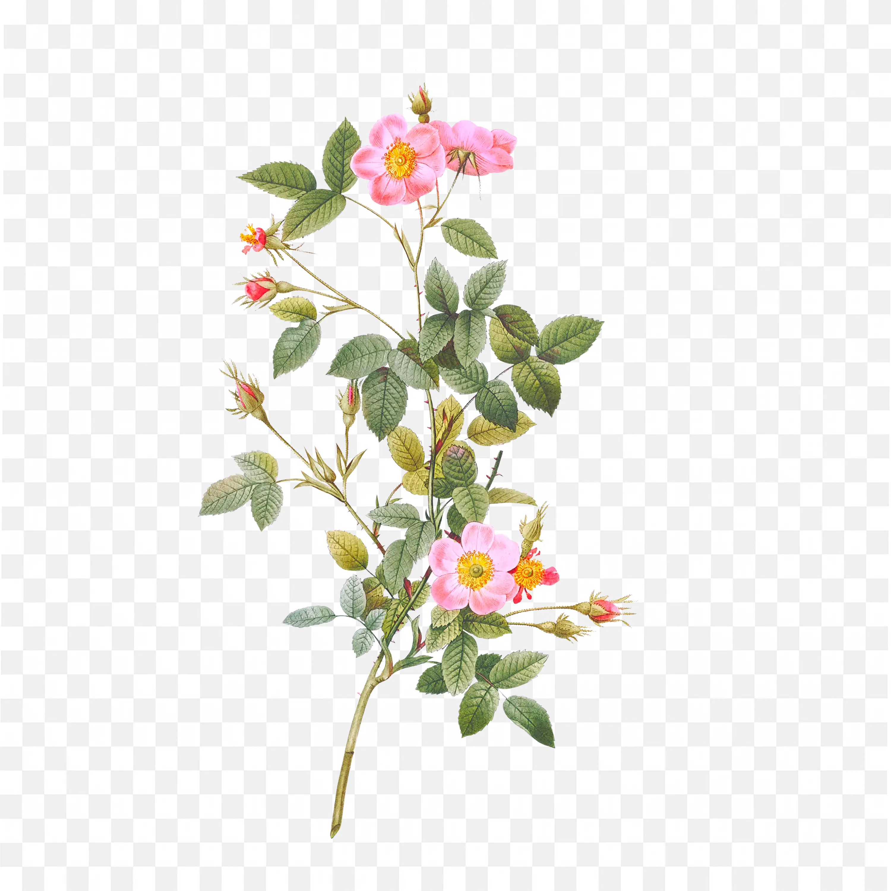 Pink Floral Bouquet Arrangement with Green Leaf Accents