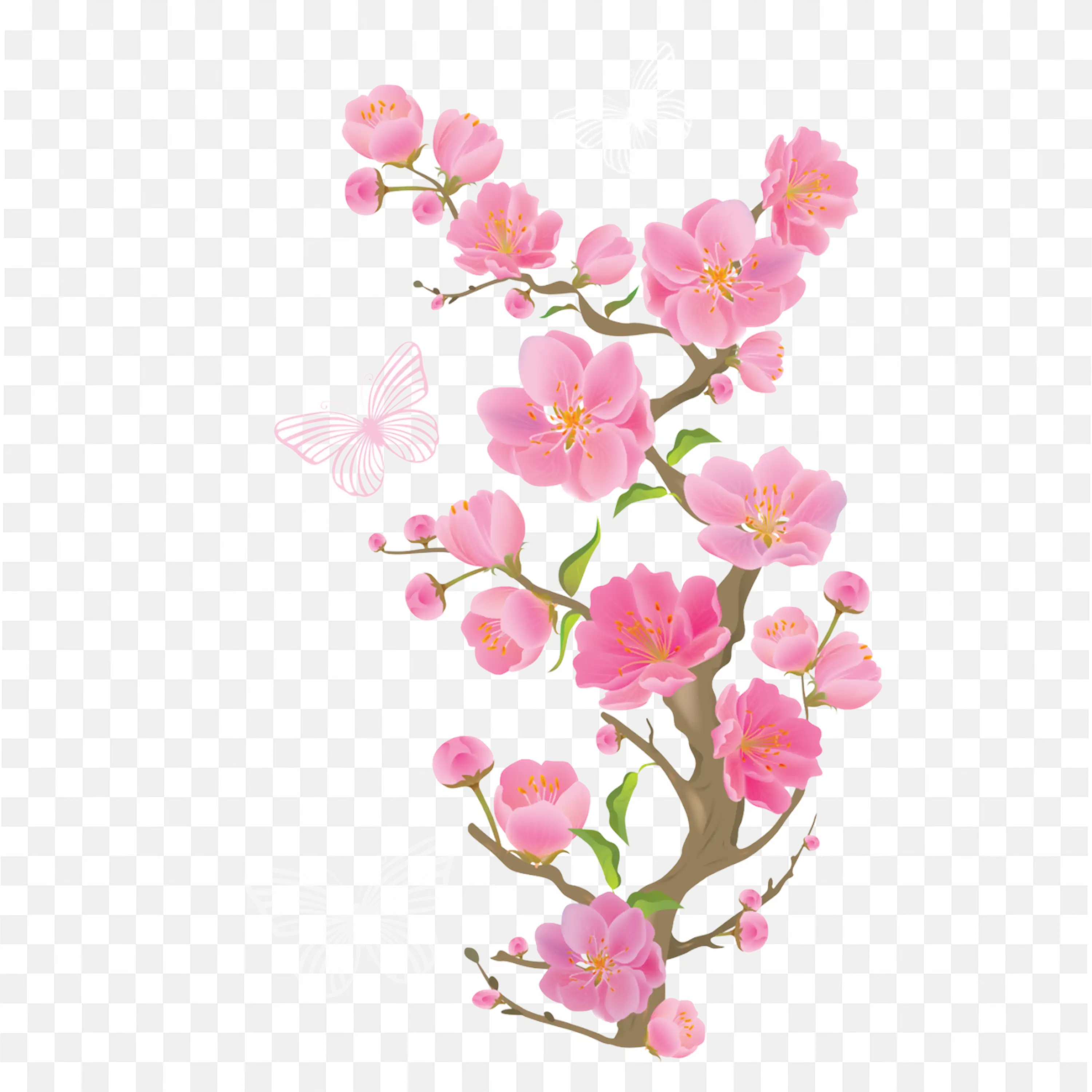 Pink Flowering Branch Blossoms Transparent PNG
