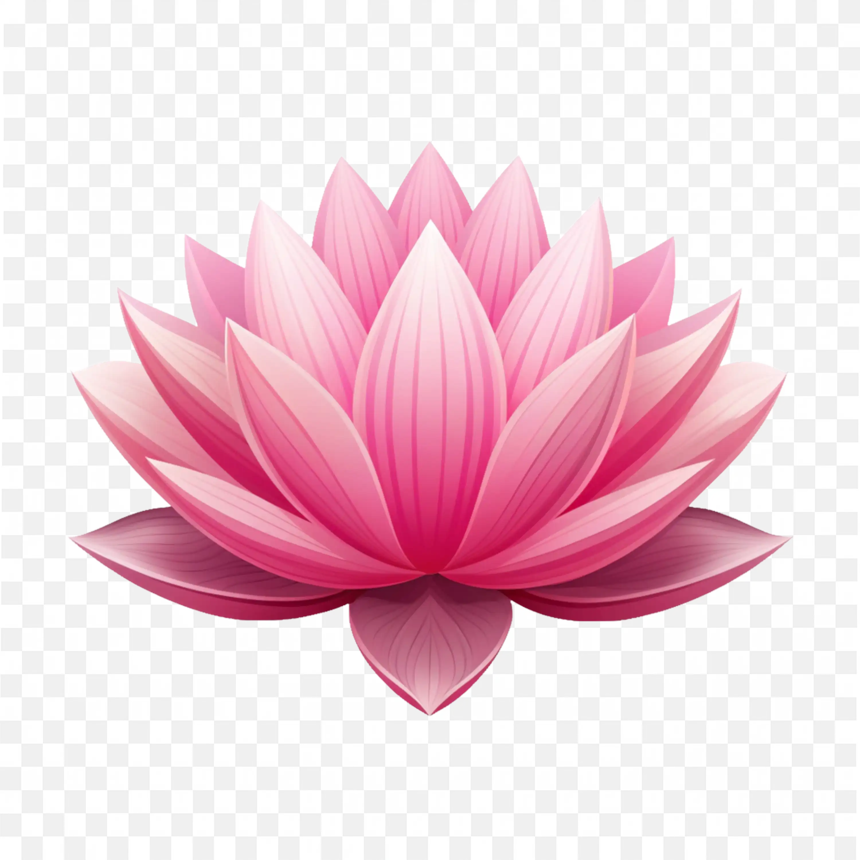 Pink Lotus Flower Bloom PNG Isolated Water Lily Vector