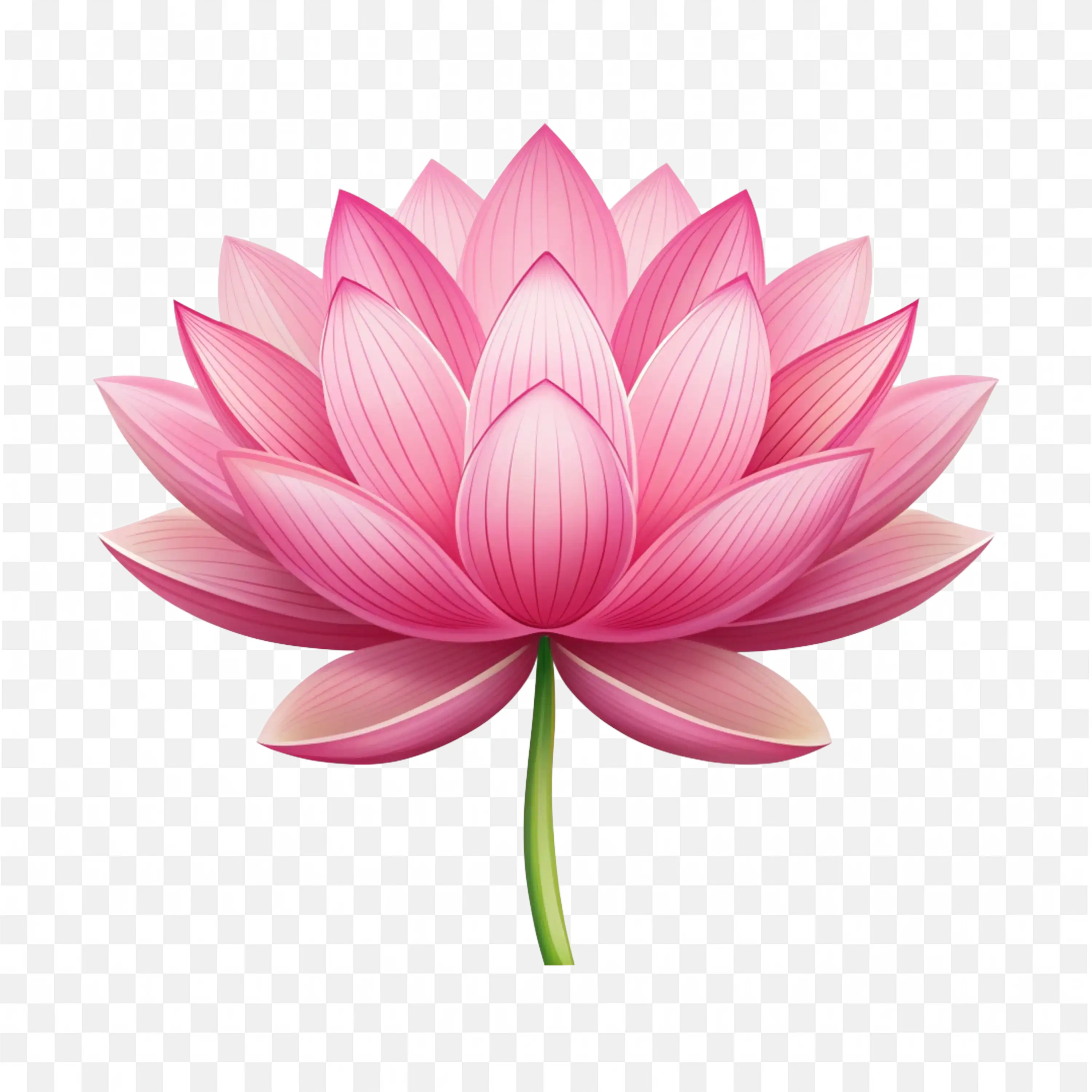 Pink Lotus Flower Closeup PNG Petals Bloom Nature Clipart
