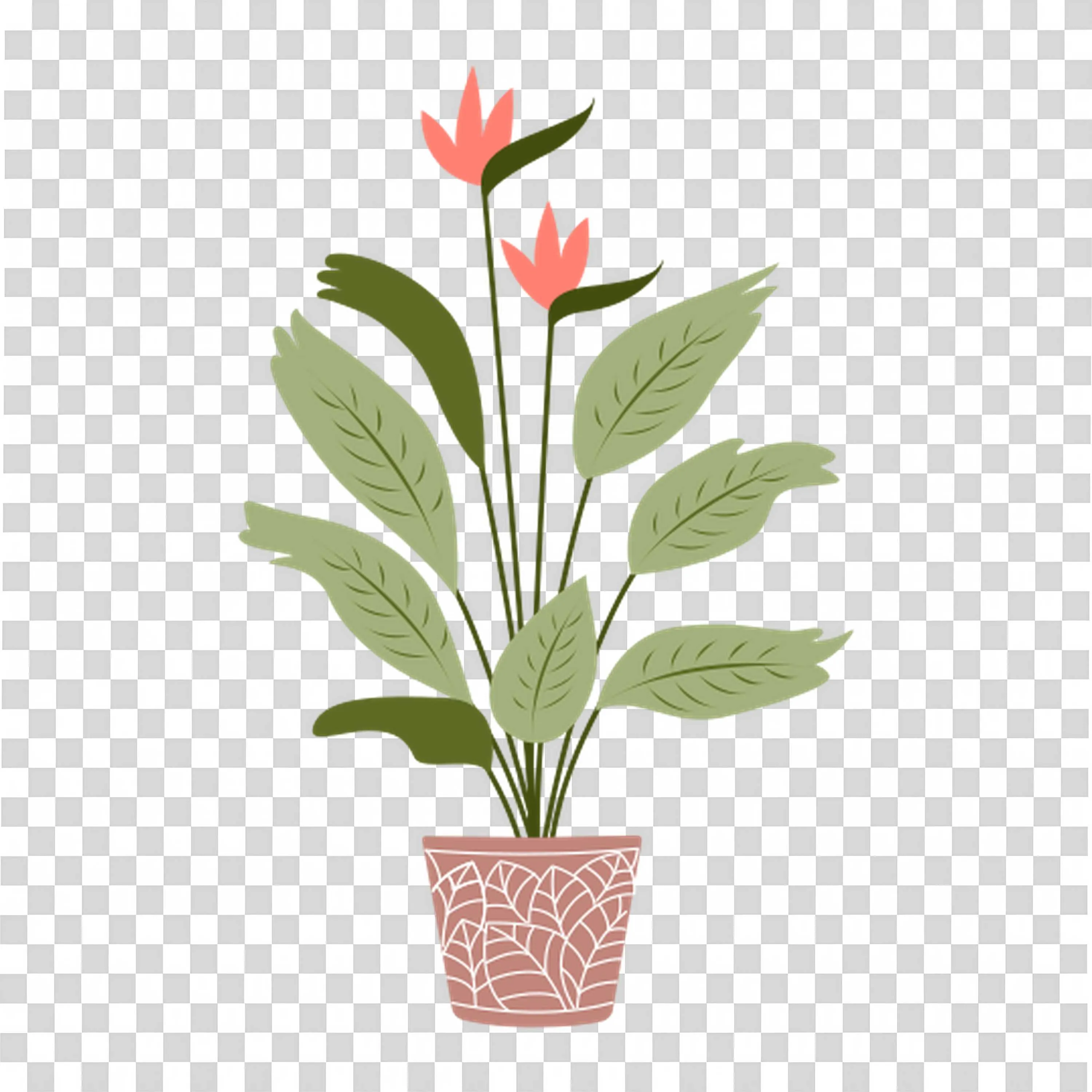 Potted Tropical Plant Shows Indoor Green Life Hd PNG