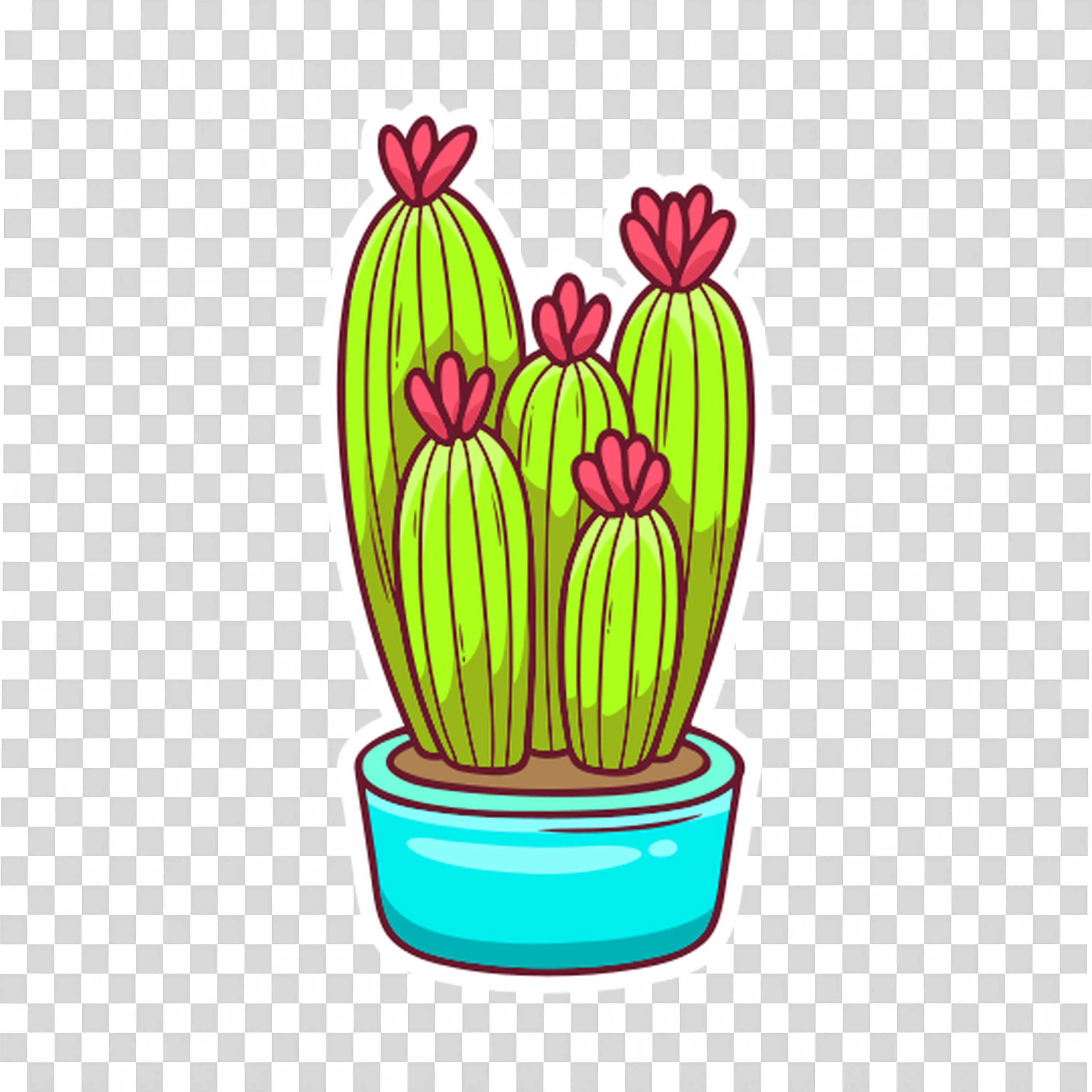 Potted Tulip Cactus Drawing For Botanical Artworks
