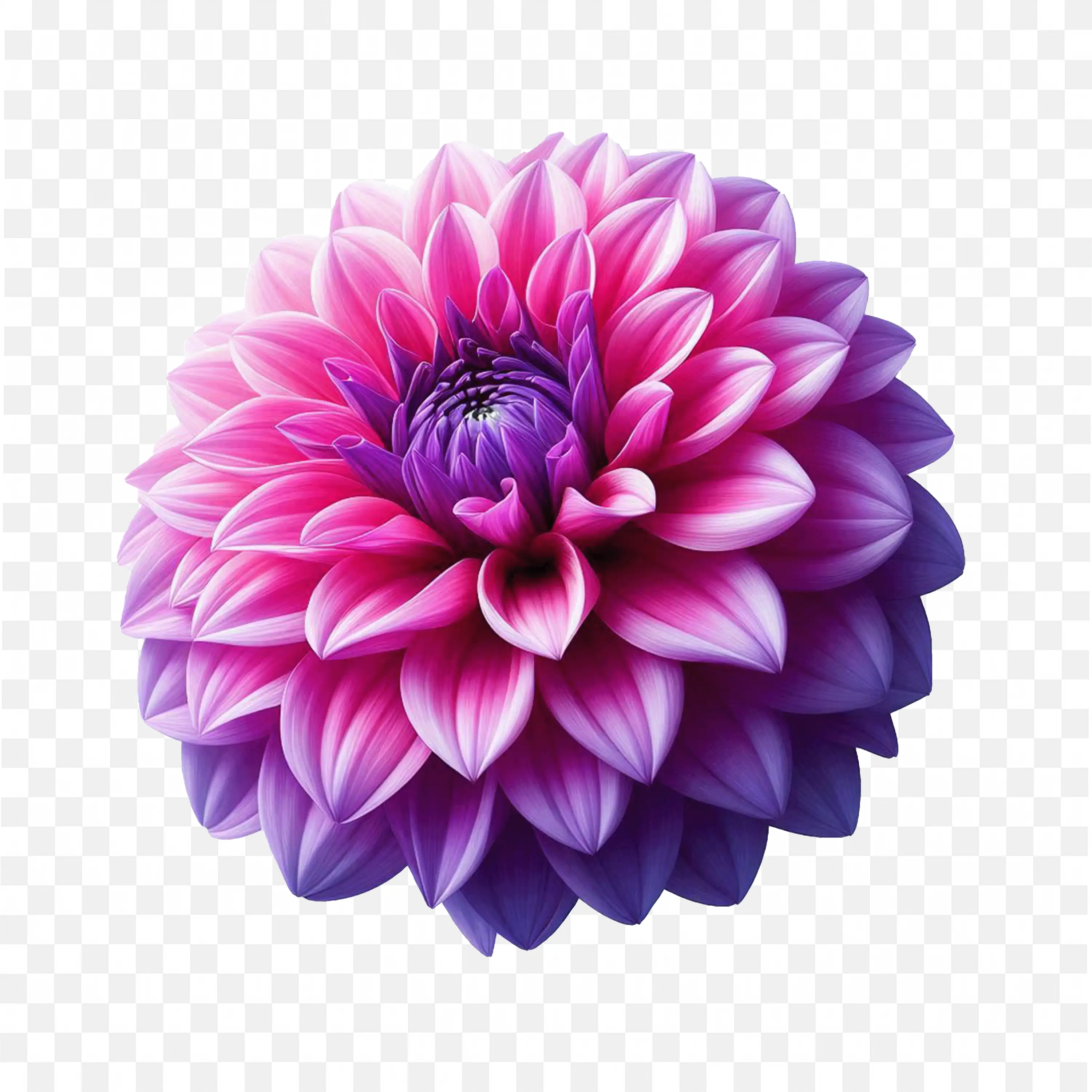 Purple Dahlia Bloom PNG Realistic Floral Botanical Art