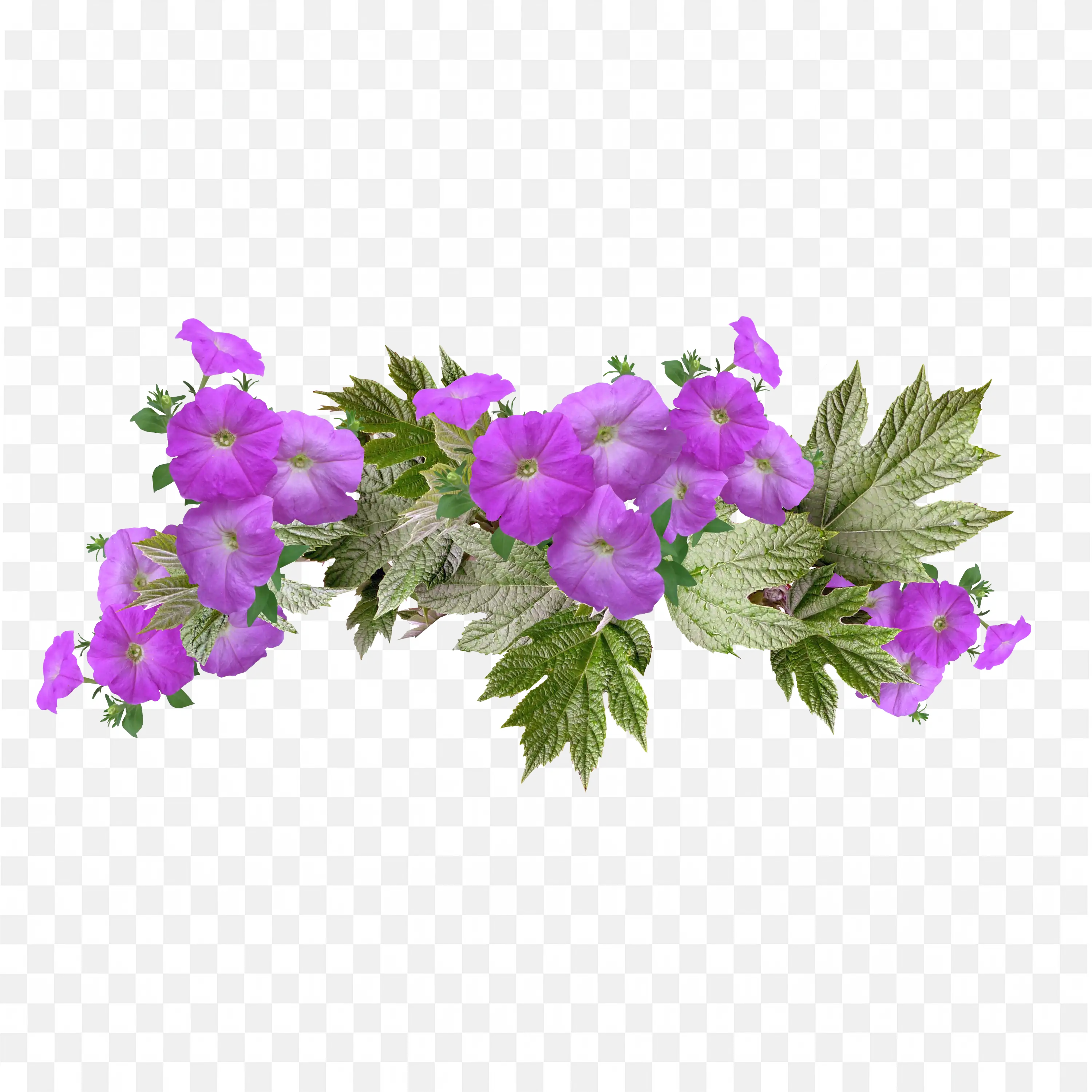 Purple Wildflowers Fresh Bloom Nature PNG Transparent