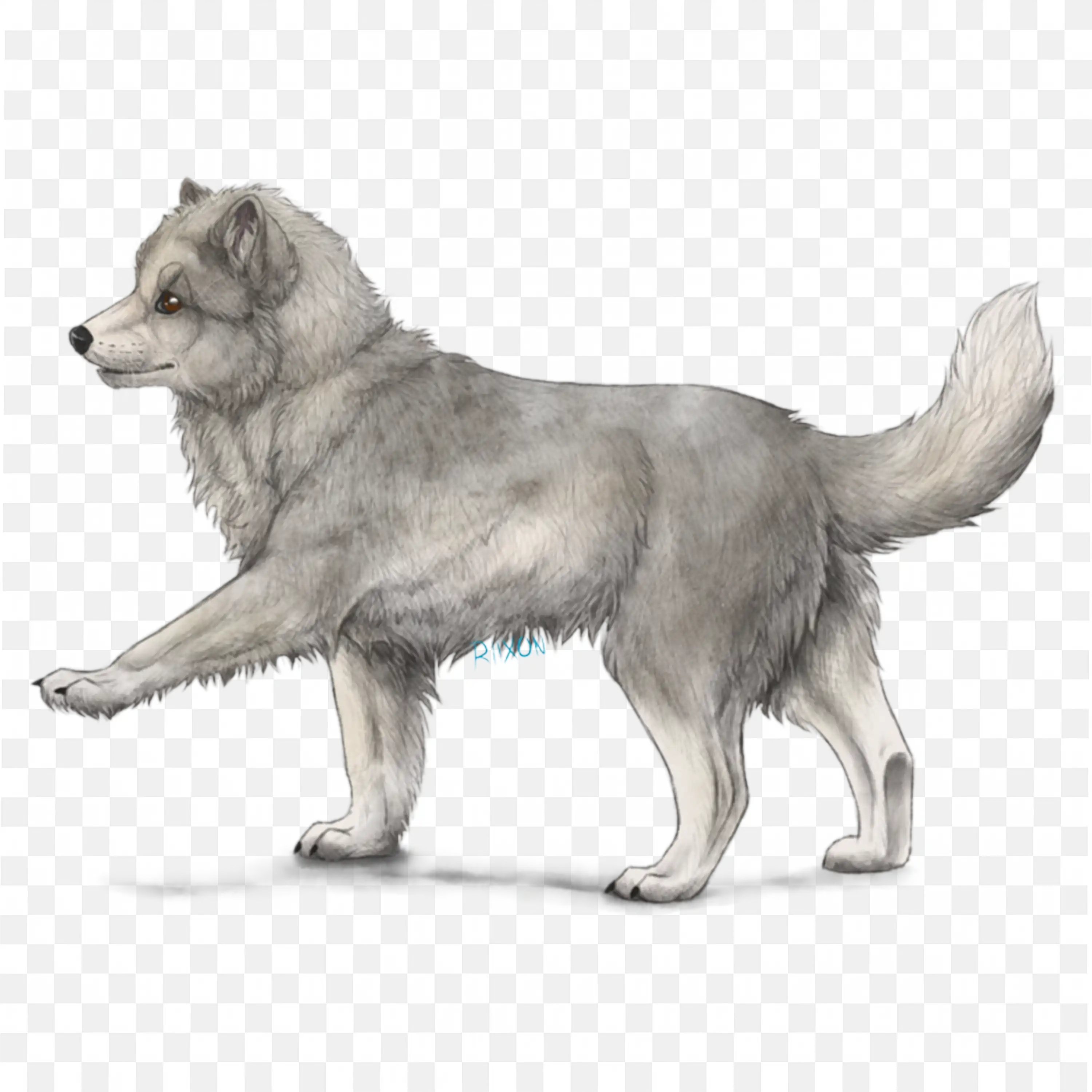Realistic Arctic Dog Clip Art Nature Wildlife Winter Animal