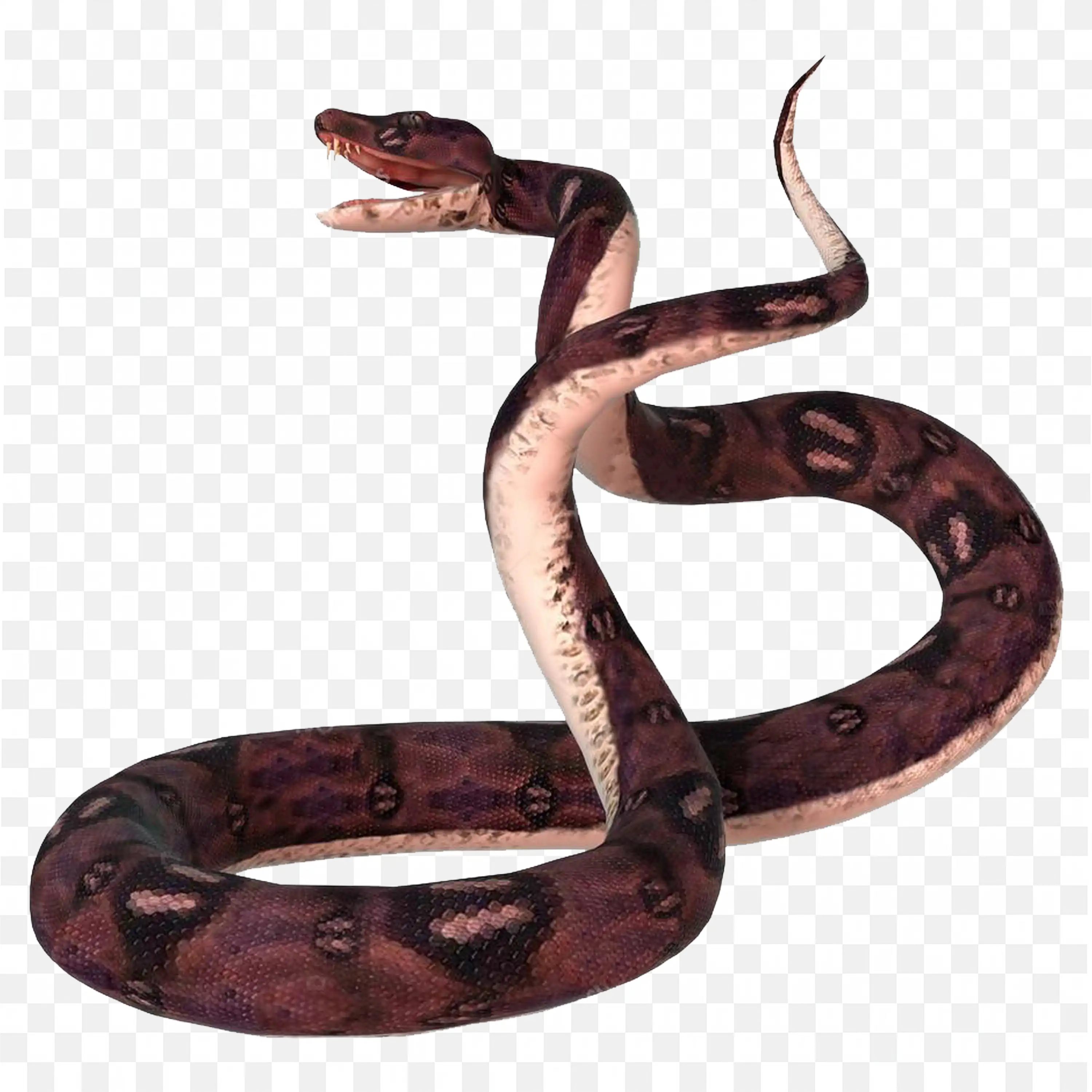 Red and Black Snake Nature Clip Art Colorful Reptile Coiled