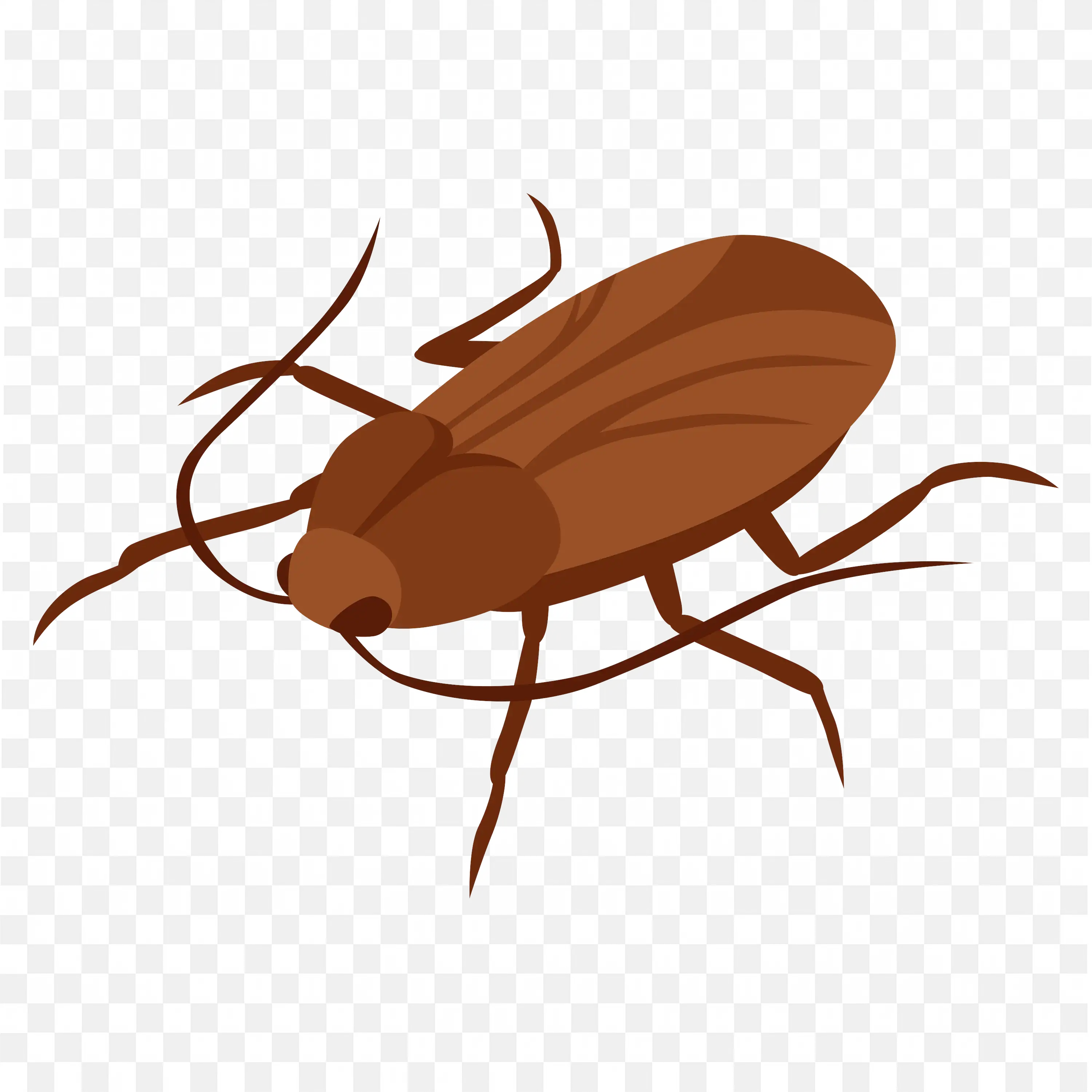Red Brown Cockroach Walking Bug Transparent PNG