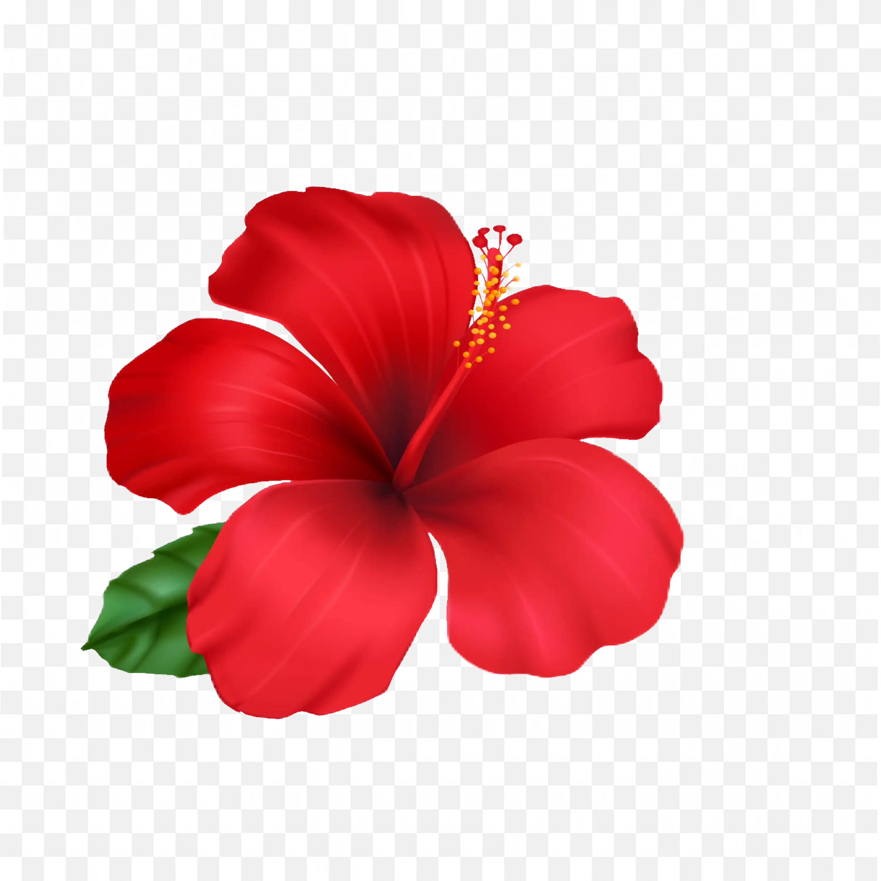 Red Hibiscus PNG Flower Nature Bloom Tropical Clip Design