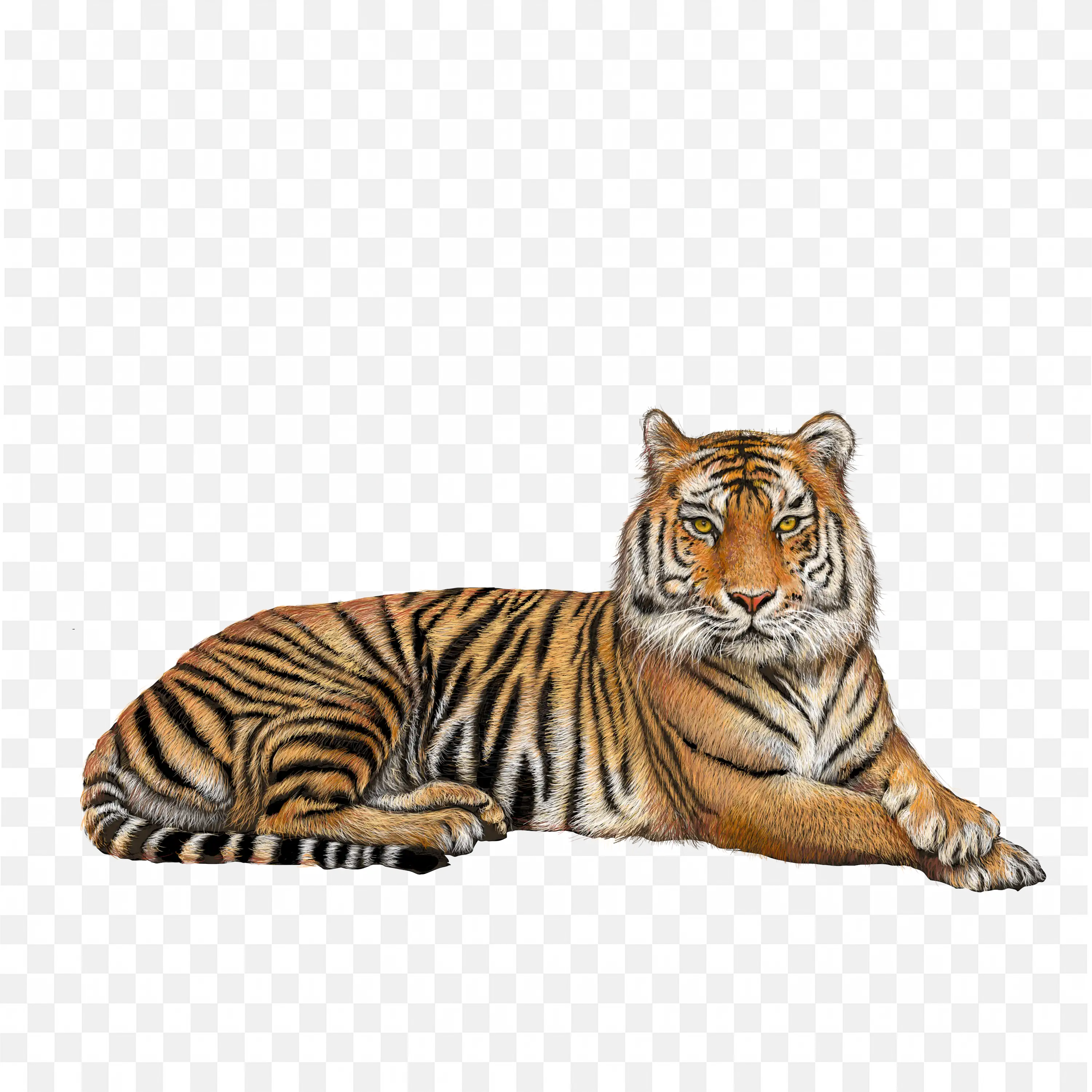 Relaxed Tabby Cat Lying Down on Side Transparent PNG