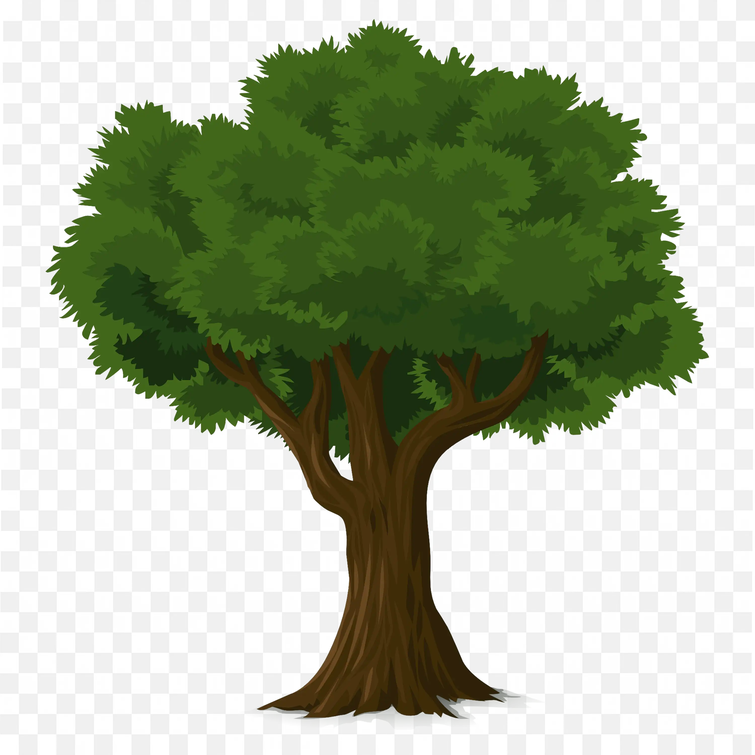 Rounded Tree with Thick Trunk Nature Forest PNG Image