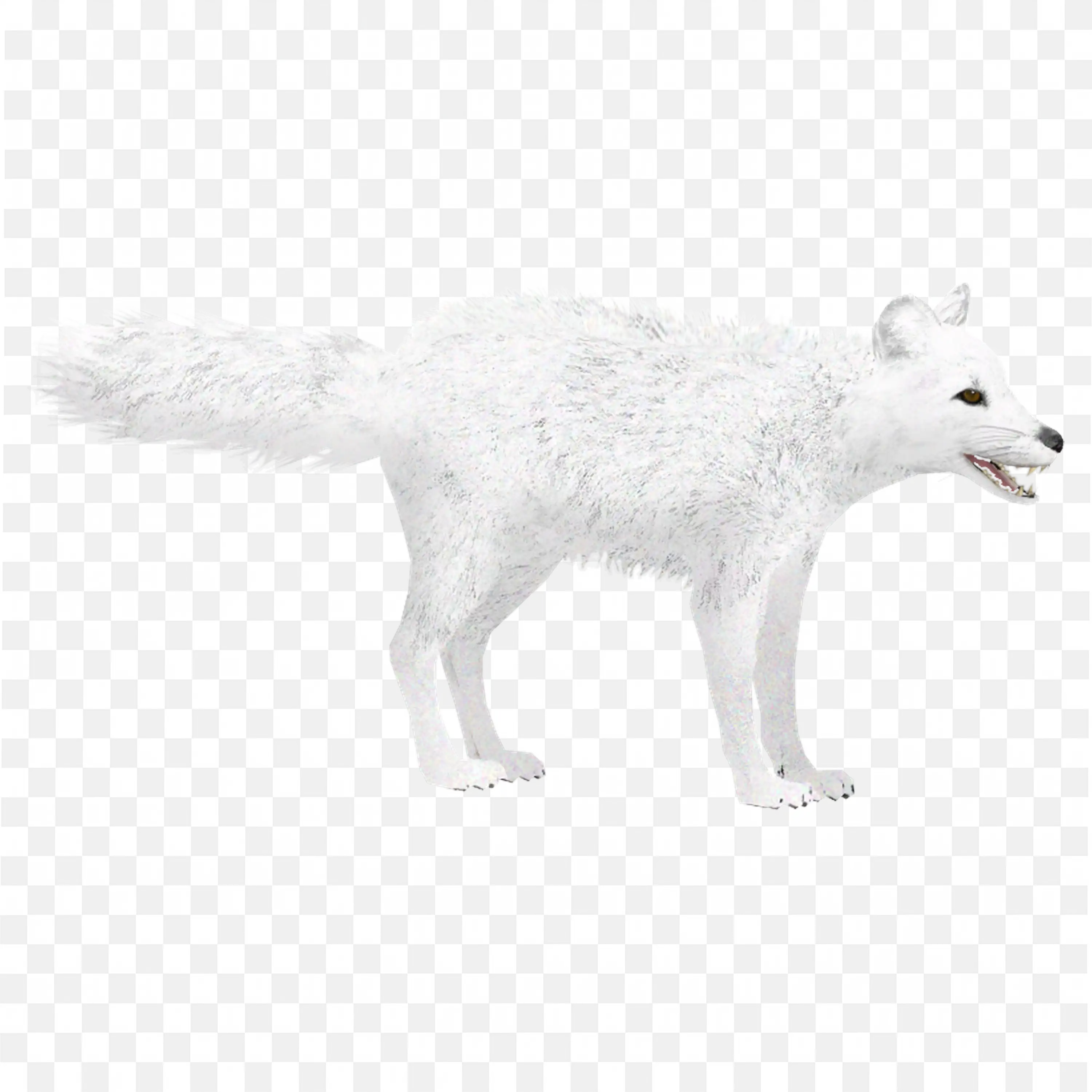 Running White Wolf Clip Art Snow Arctic Nature Animal Art