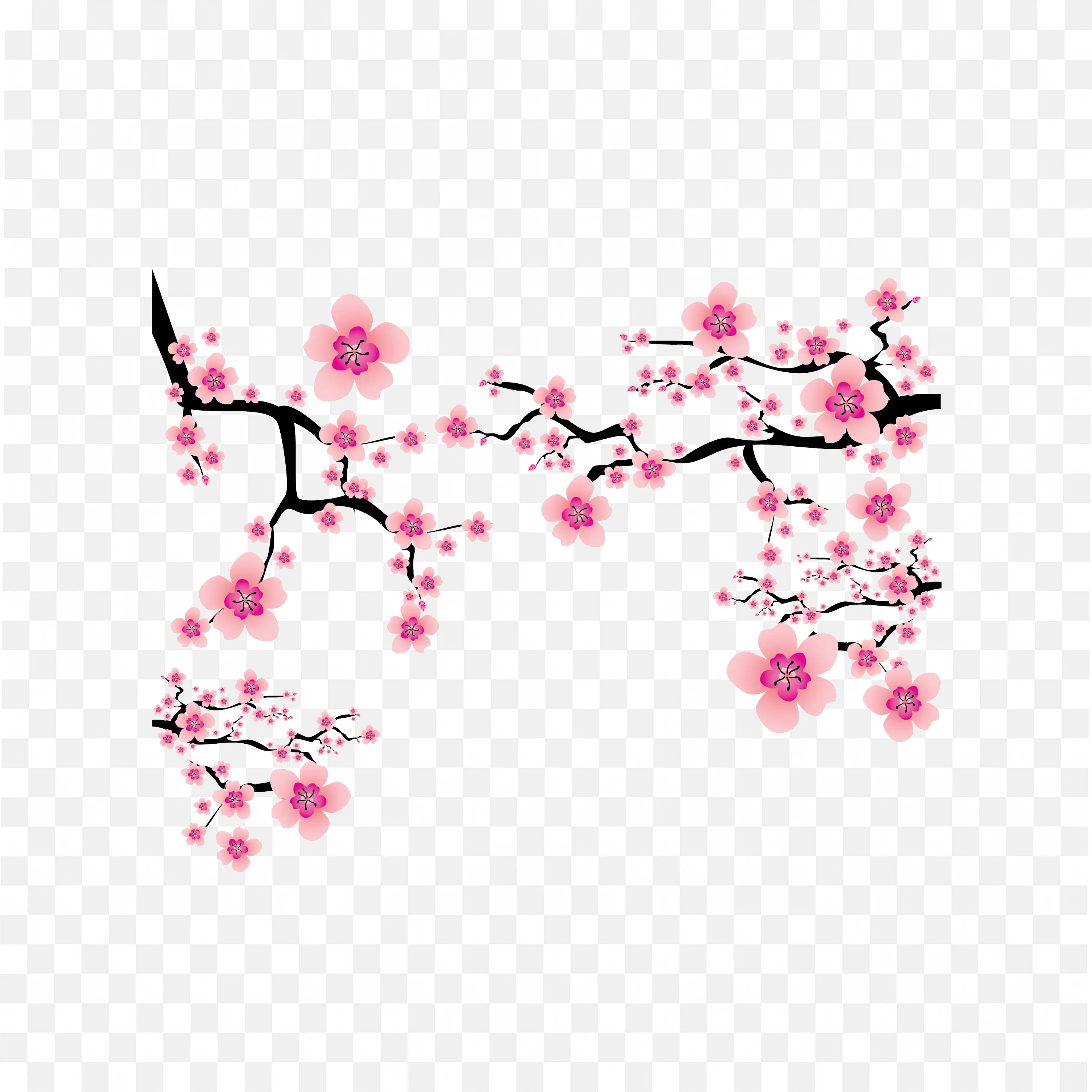 Sakura Tree Branch PNG Flowering Spring Nature Design