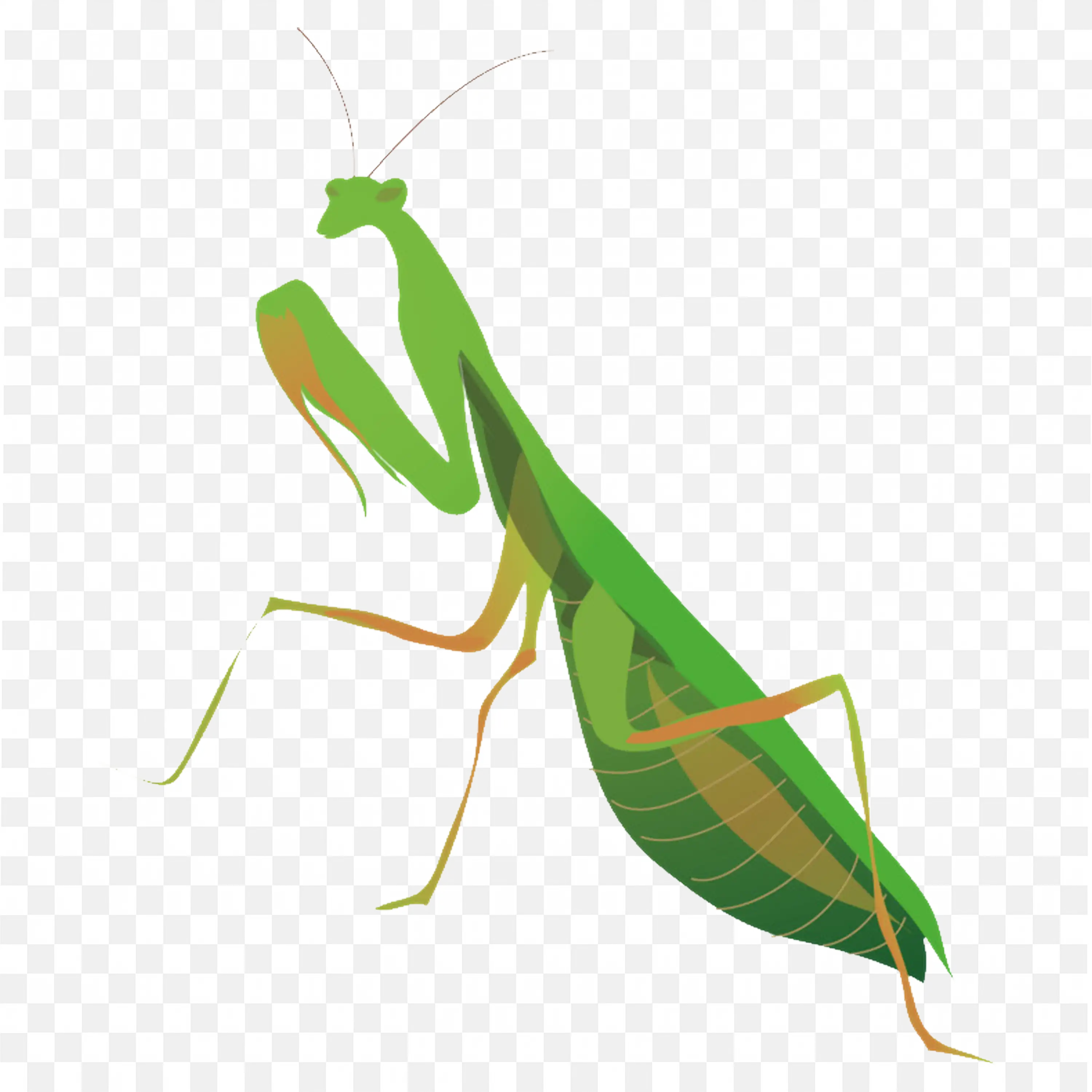 Side View Mantis Cartoon PNG Insect Image Free