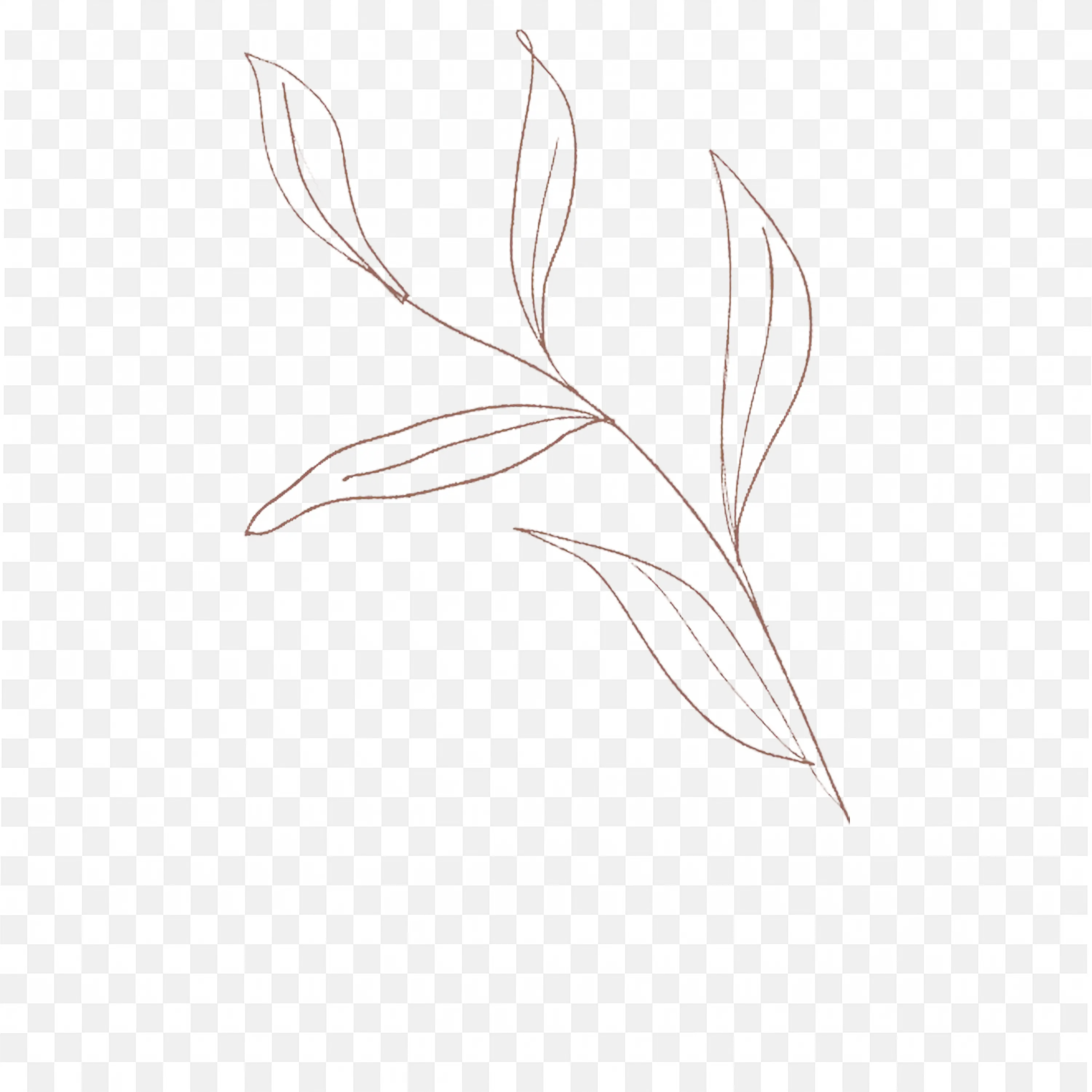Simple Leaf Line Drawing Nature Inspired Minimal Art Sketch