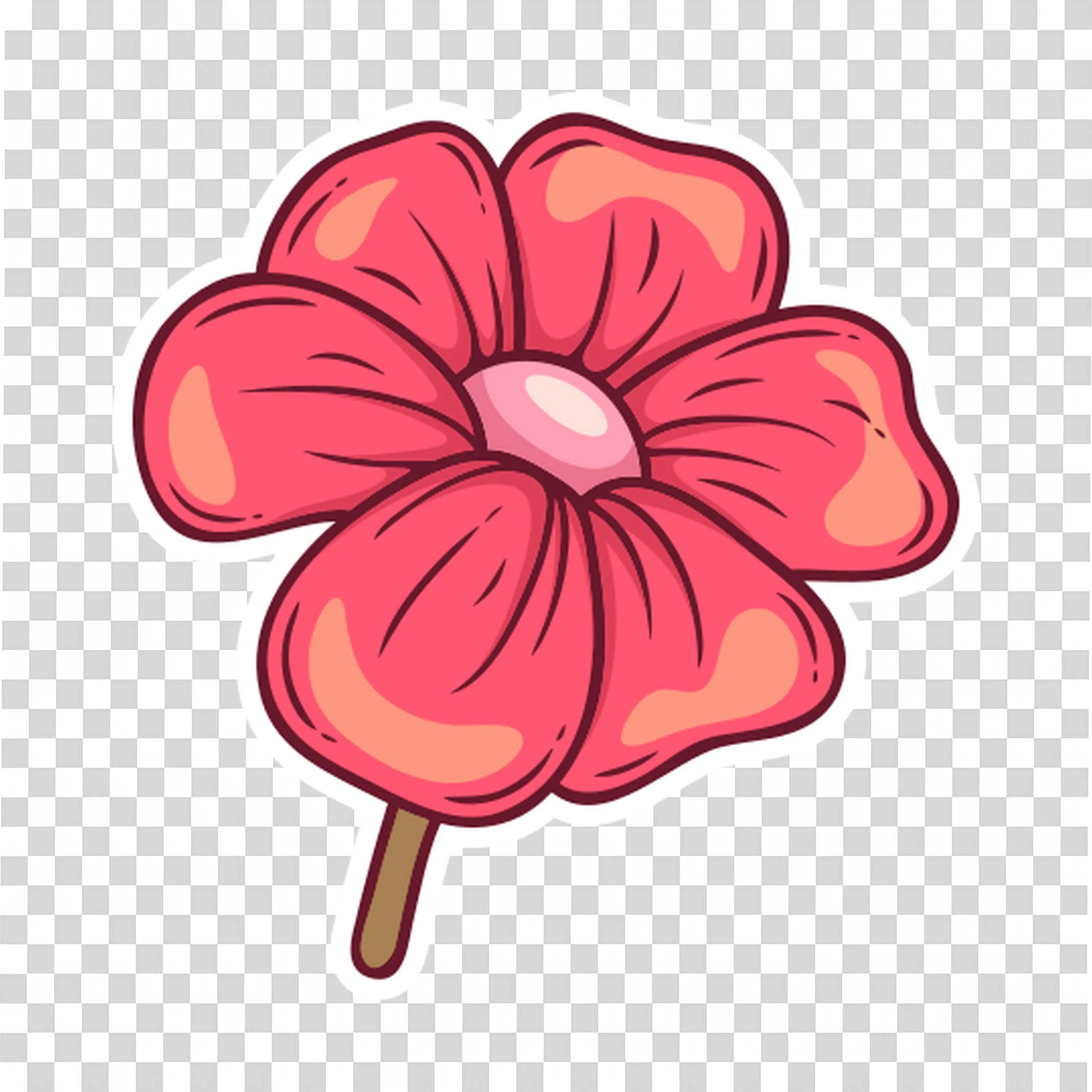 Single Large Pink Flower Blooming with Detailed Petals