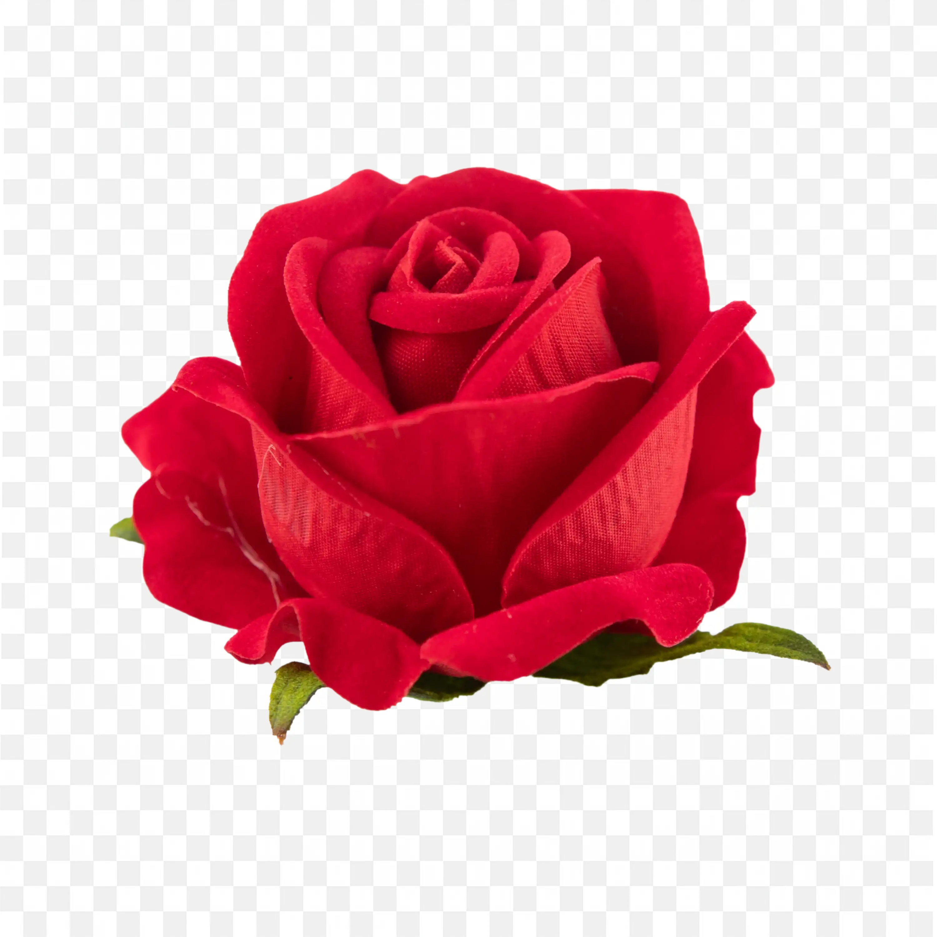 Single Red Rose with Leaves Love Symbol Transparent