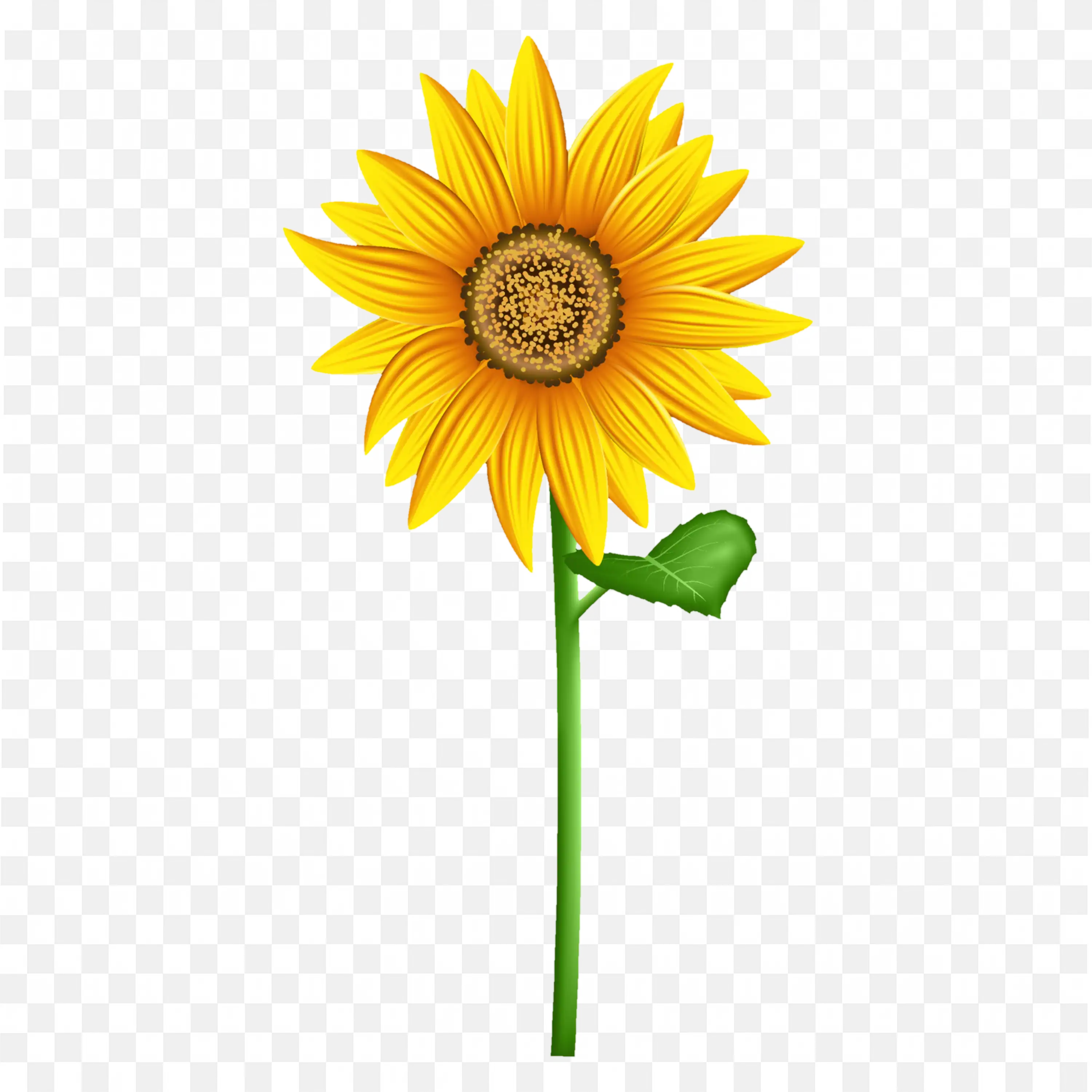 Single Sunflower PNG Stem Nature Clip Bloom Art Design