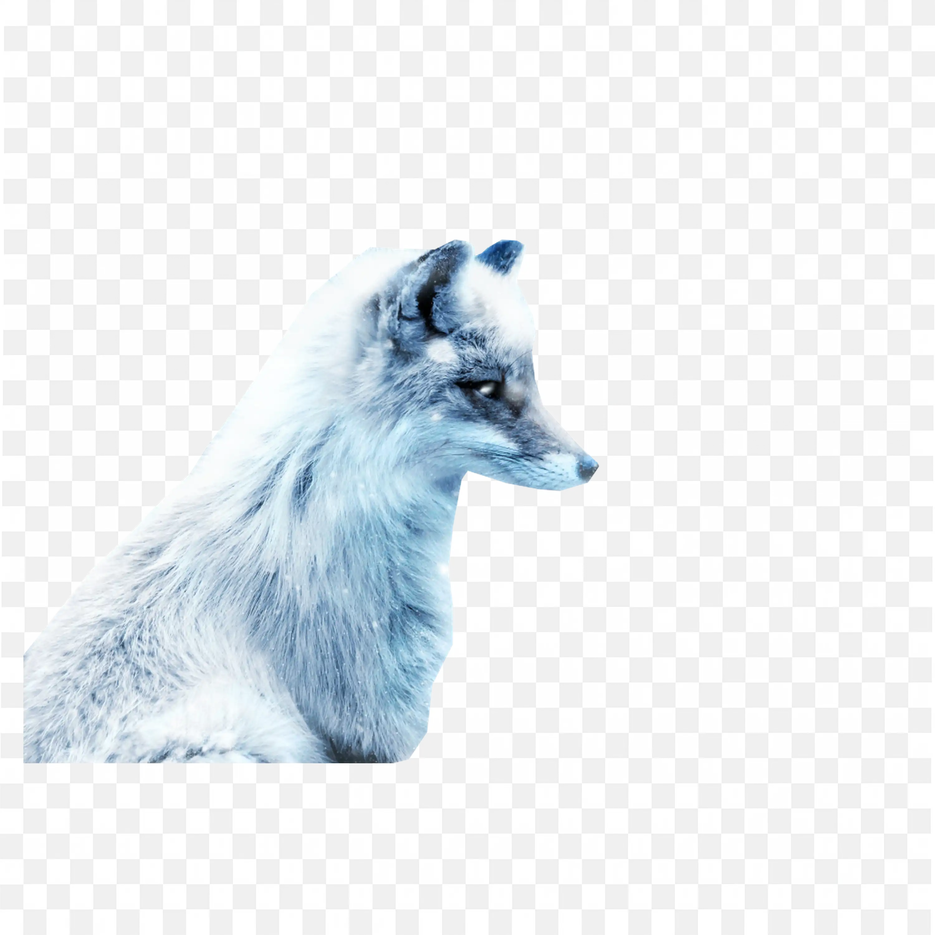 Sitting Arctic Wolf Clip Art Blue Tint Animal Nature Art