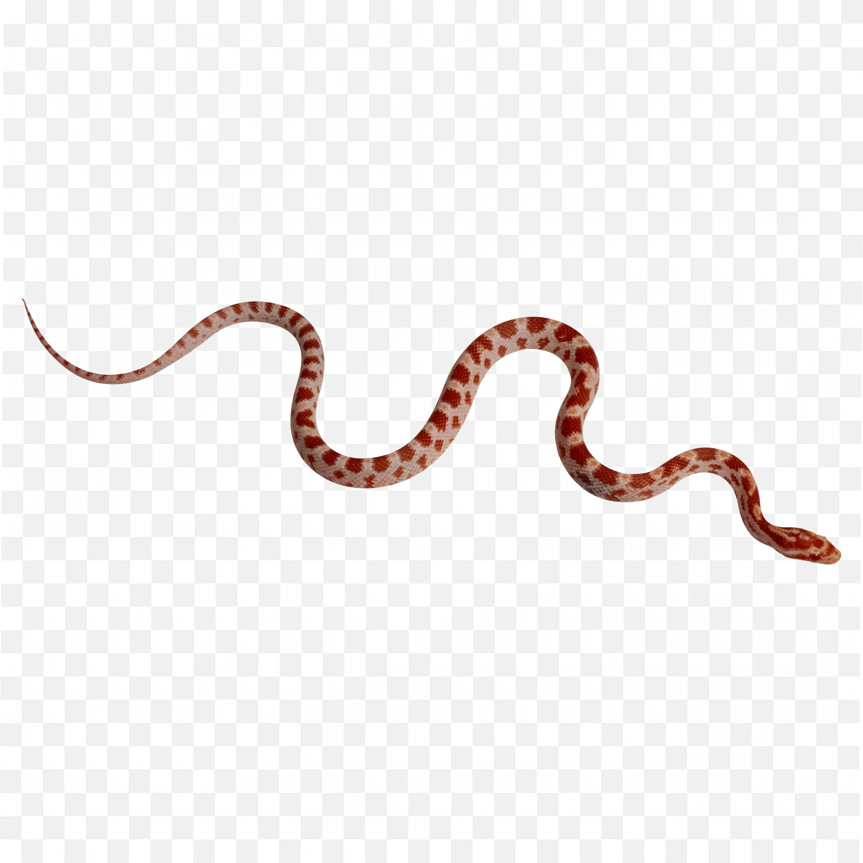 Small Red Snake Clip Art Crawling Reptile Nature Design