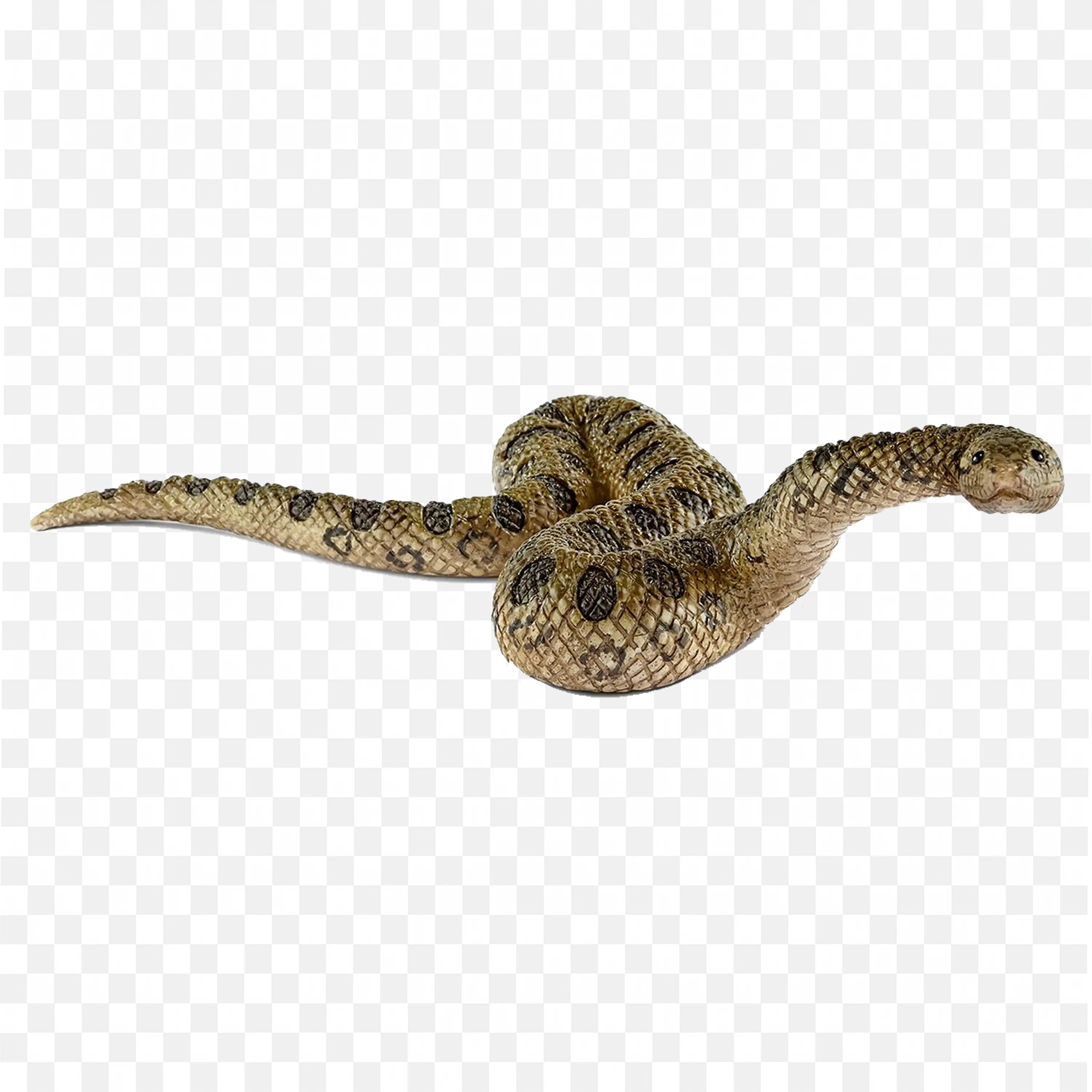 Small Snake PNG Nature Clip Art Slim Reptile Download Free