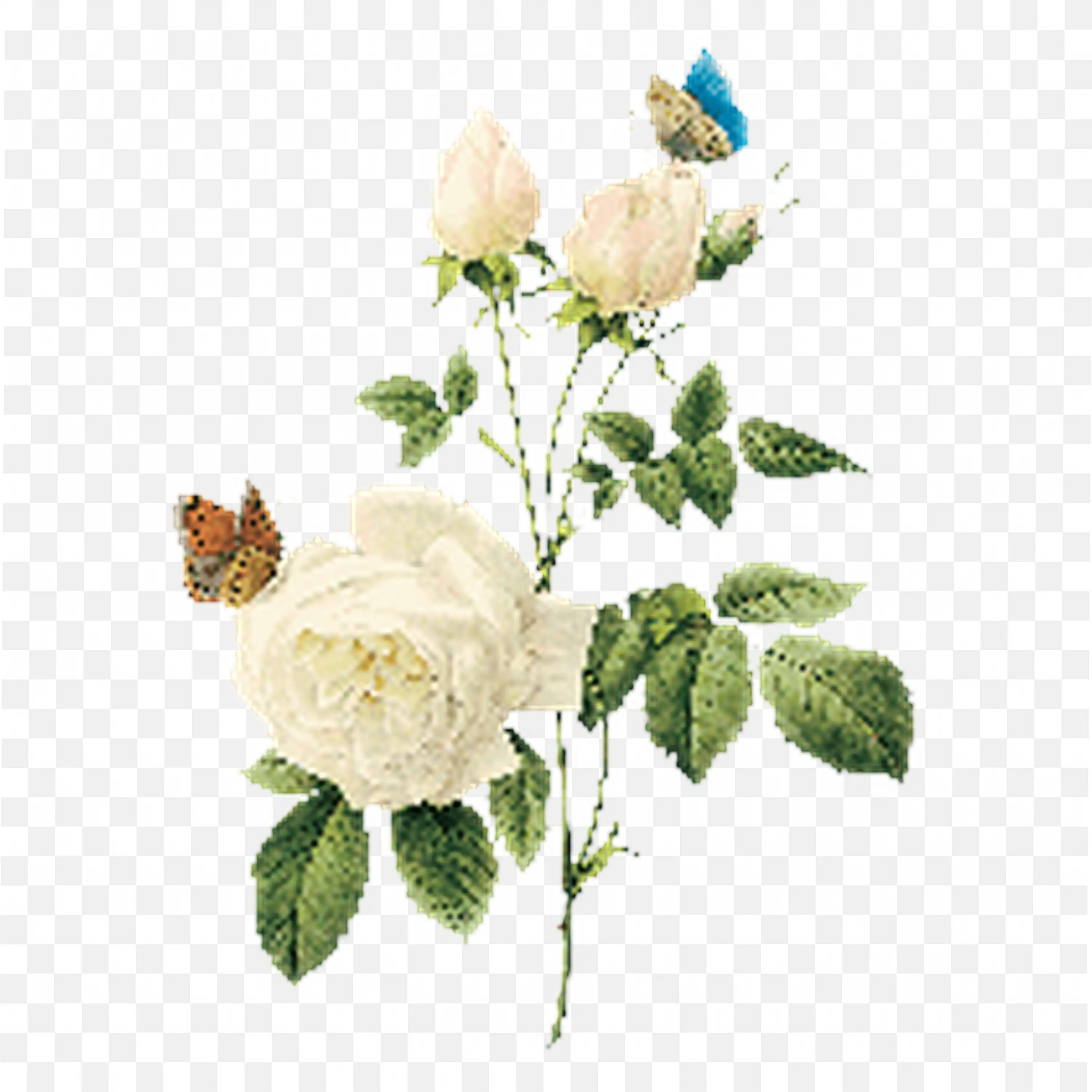 Soft Cream Roses in Bloom on Branch Wedding Flower Art