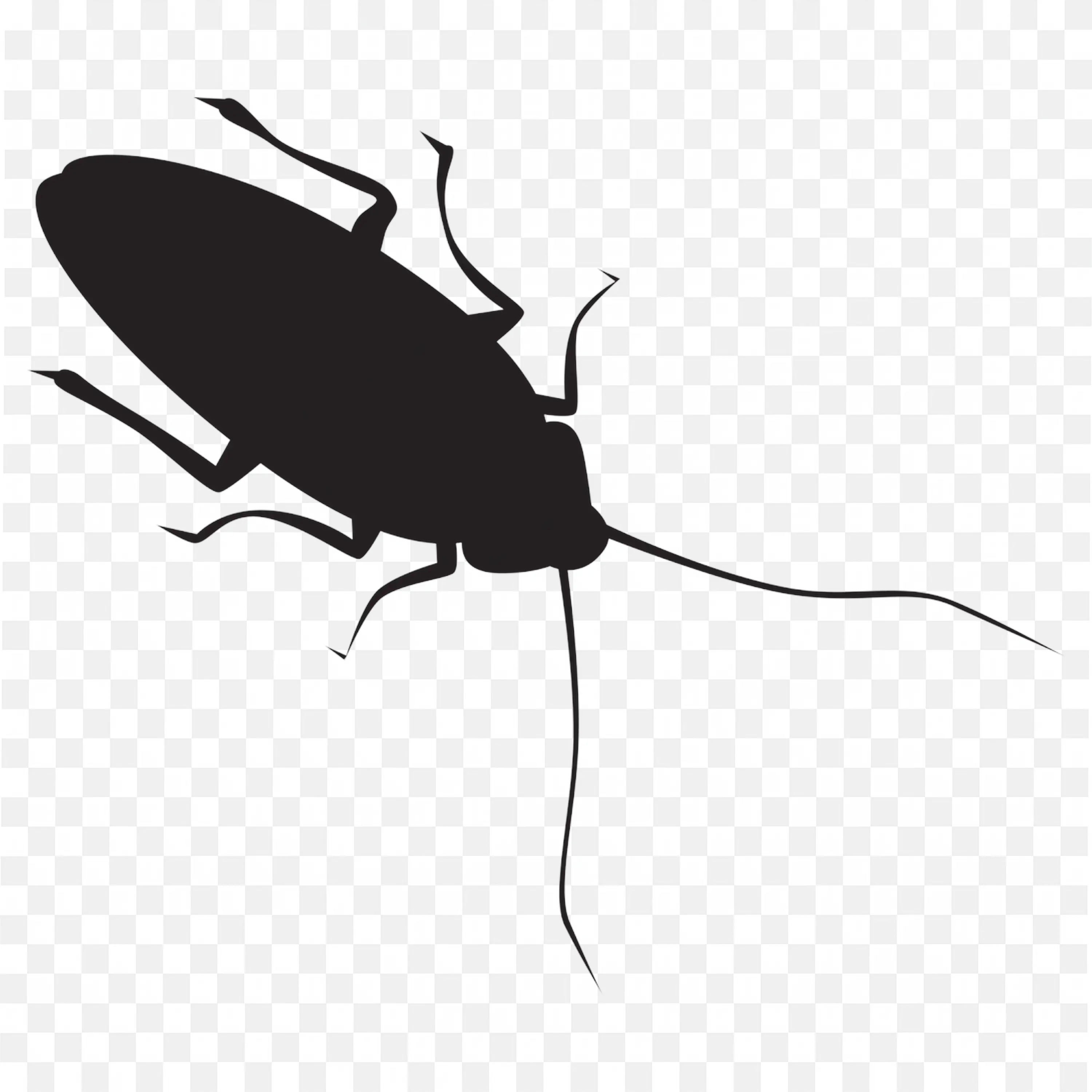 Solid Black Roach Silhouette Bug Transparent Clipart