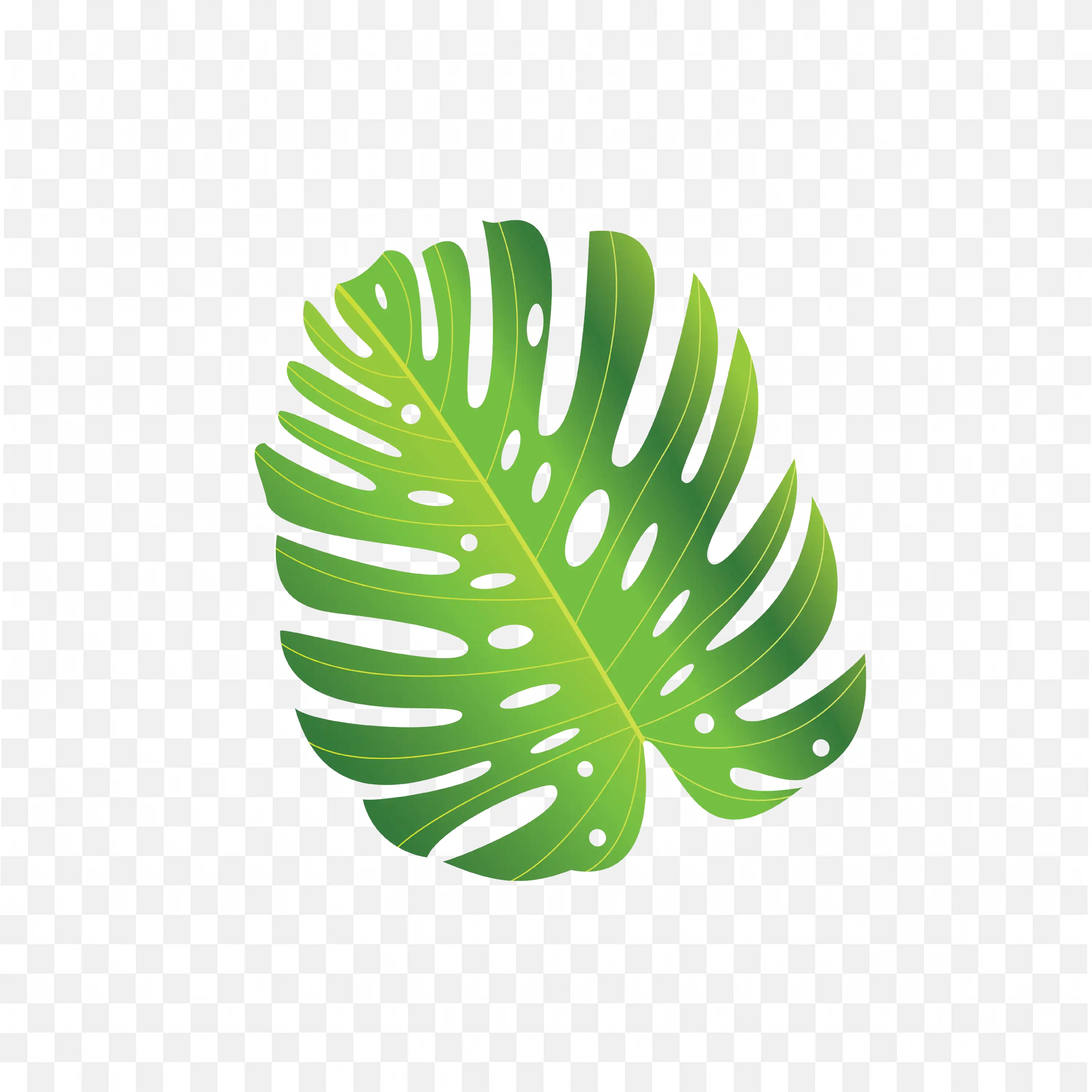 Split Leaf Philodendron PNG Tropical Leaf Clipart Download