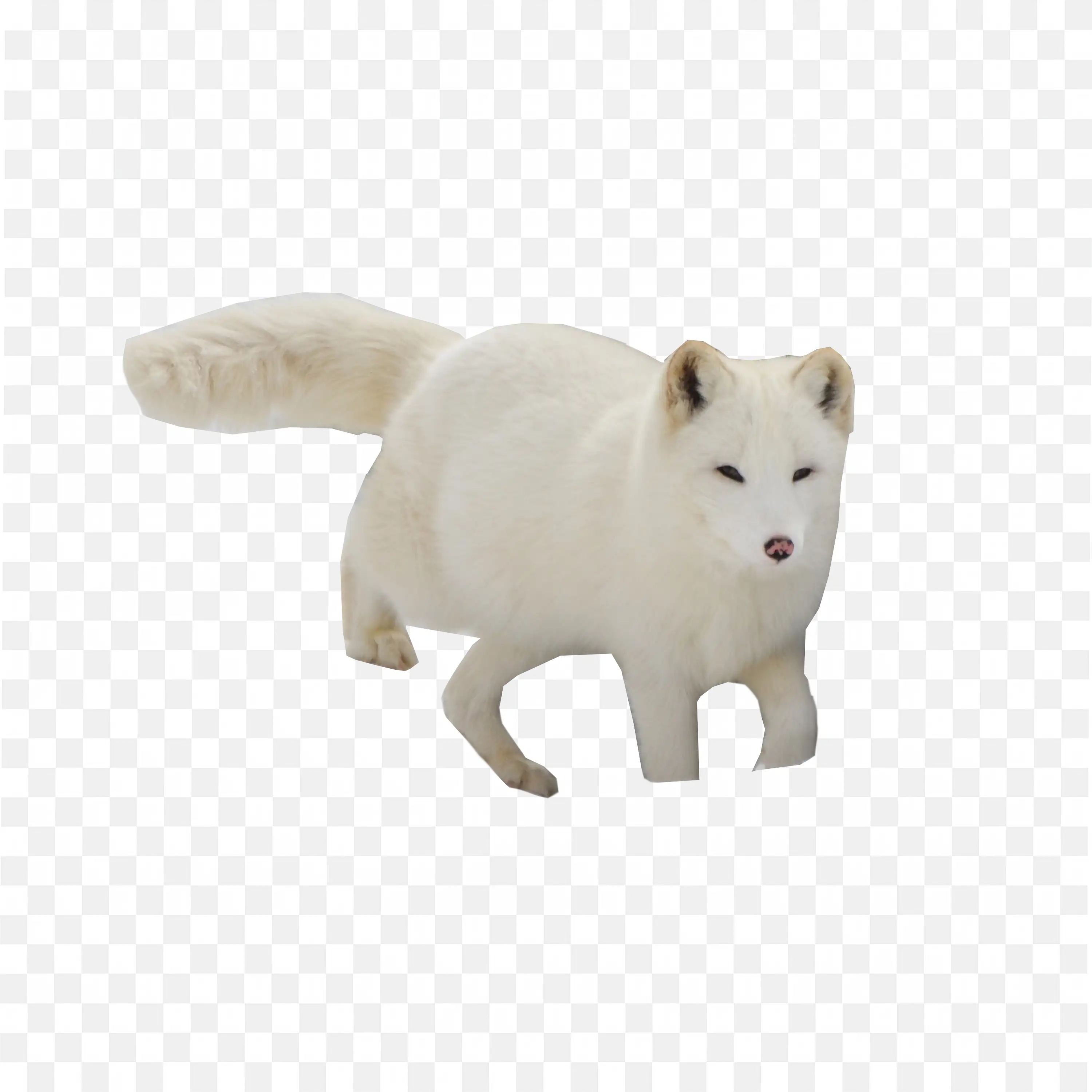 Standing Arctic Fox Clip Art White Snow Wildlife Animal PNG