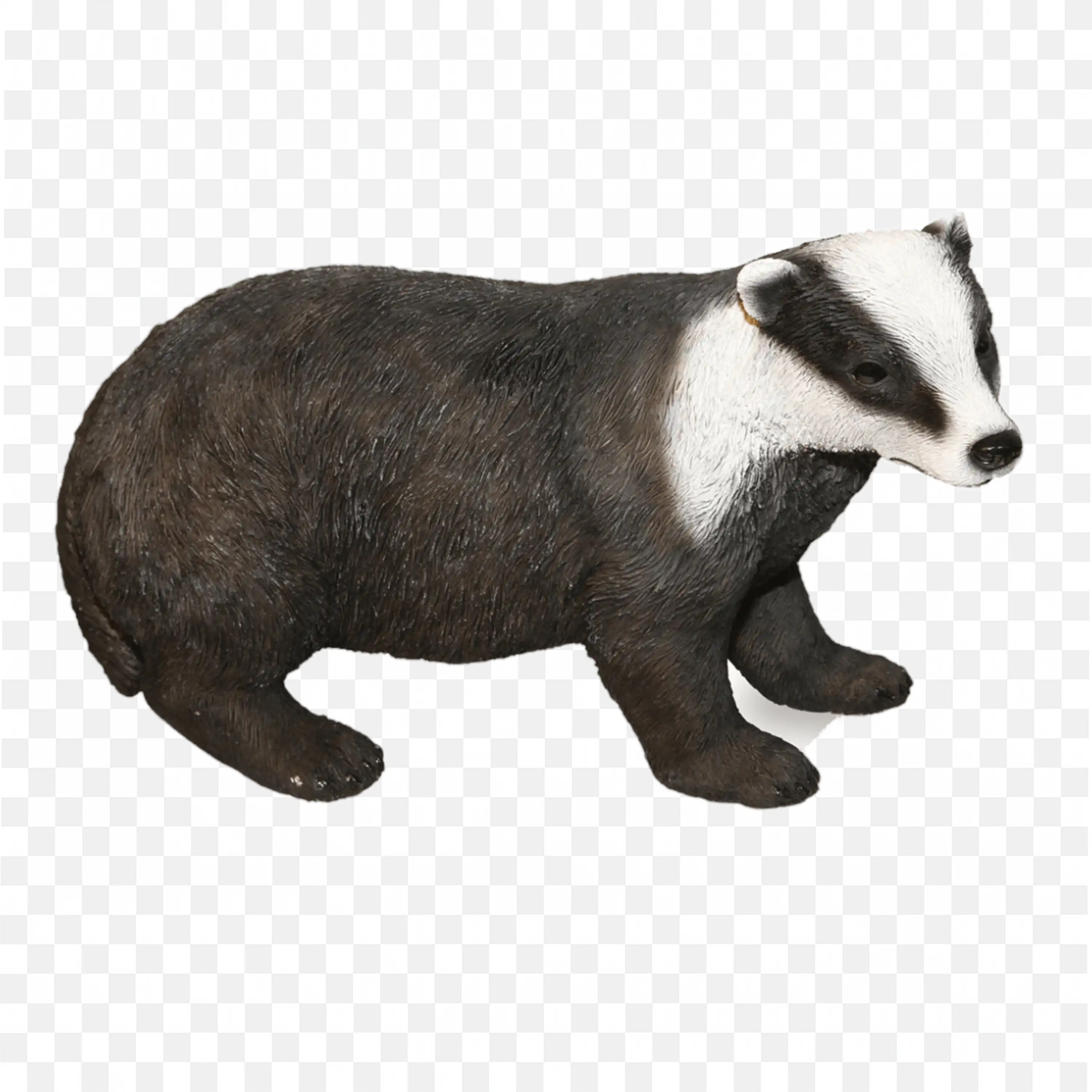 Standing Badger Side View PNG Nature Wildlife Artwork