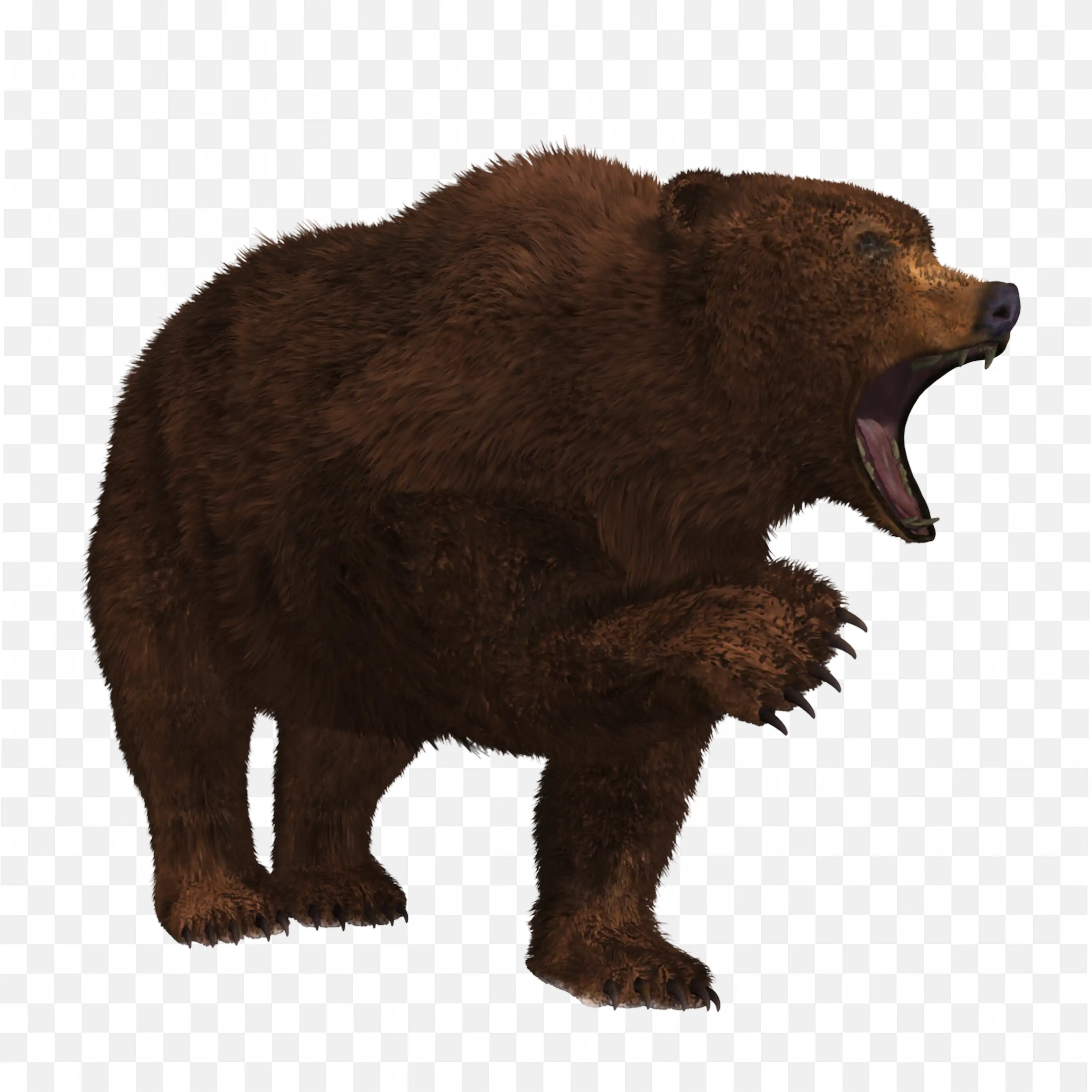 Standing Grizzly Bear PNG Side View Wildlife Forest Art