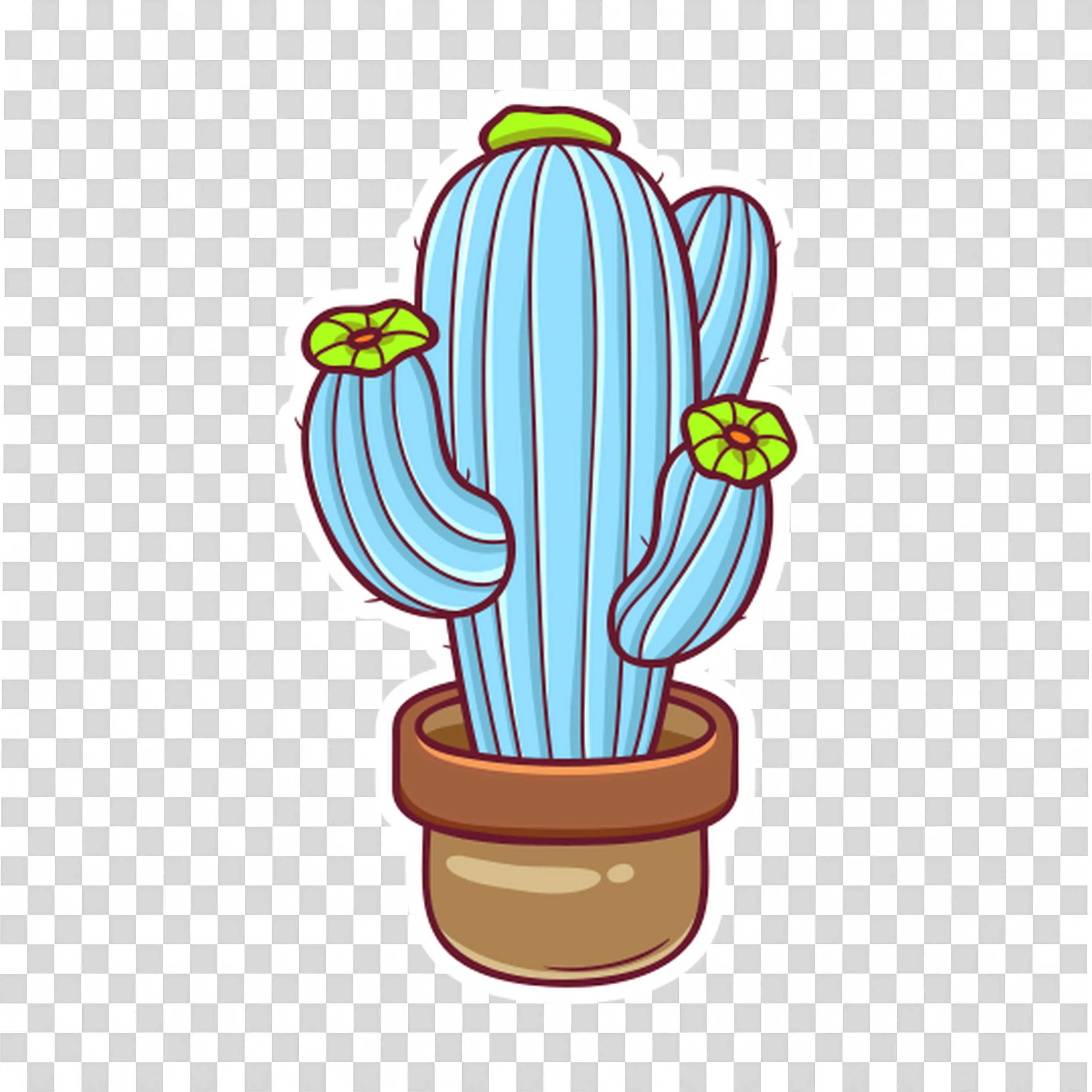 Tall Blue Cactus in a Pot with Two Small Flower Buds