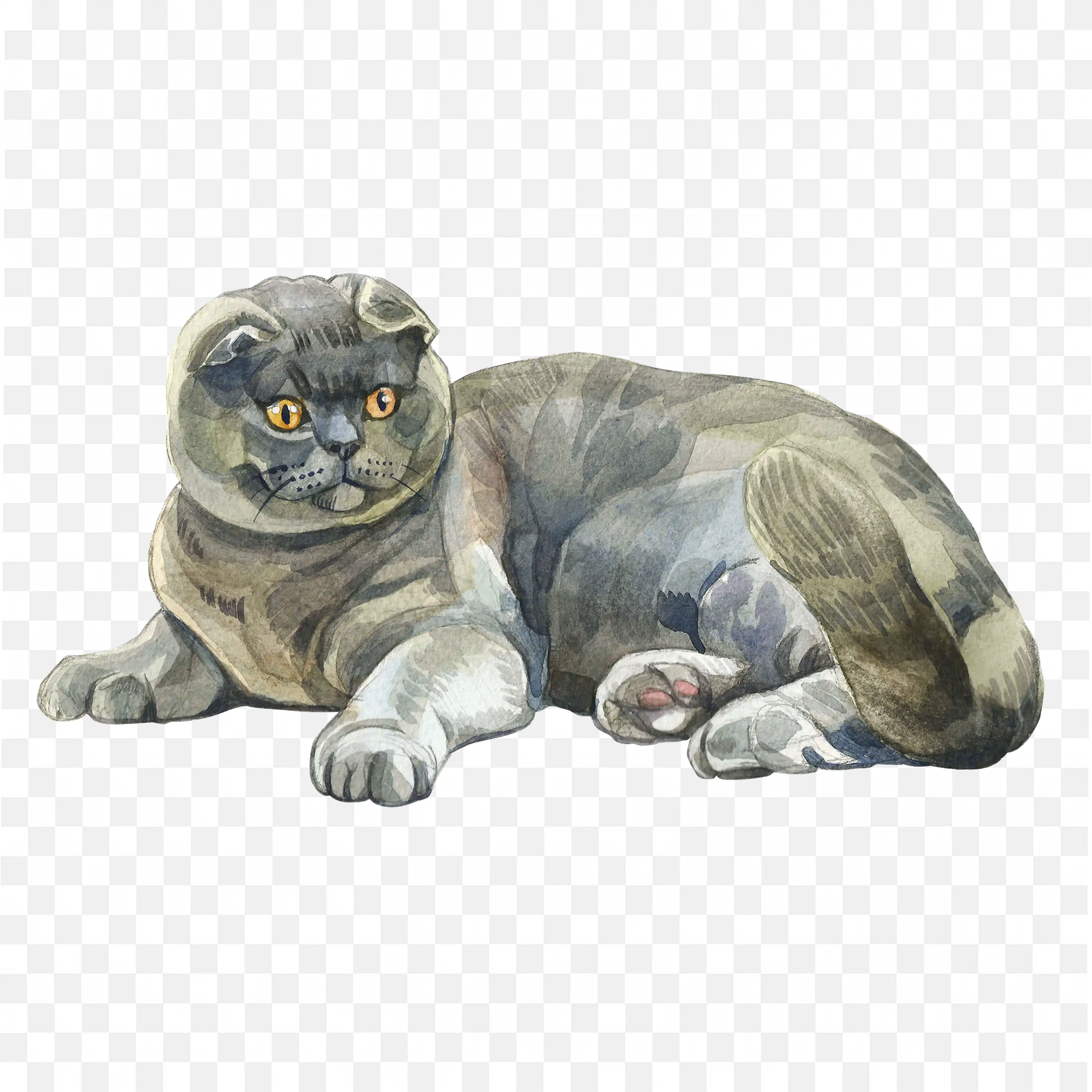 Watercolor Cat Illustration Relaxed Gray Kitty PNG Art