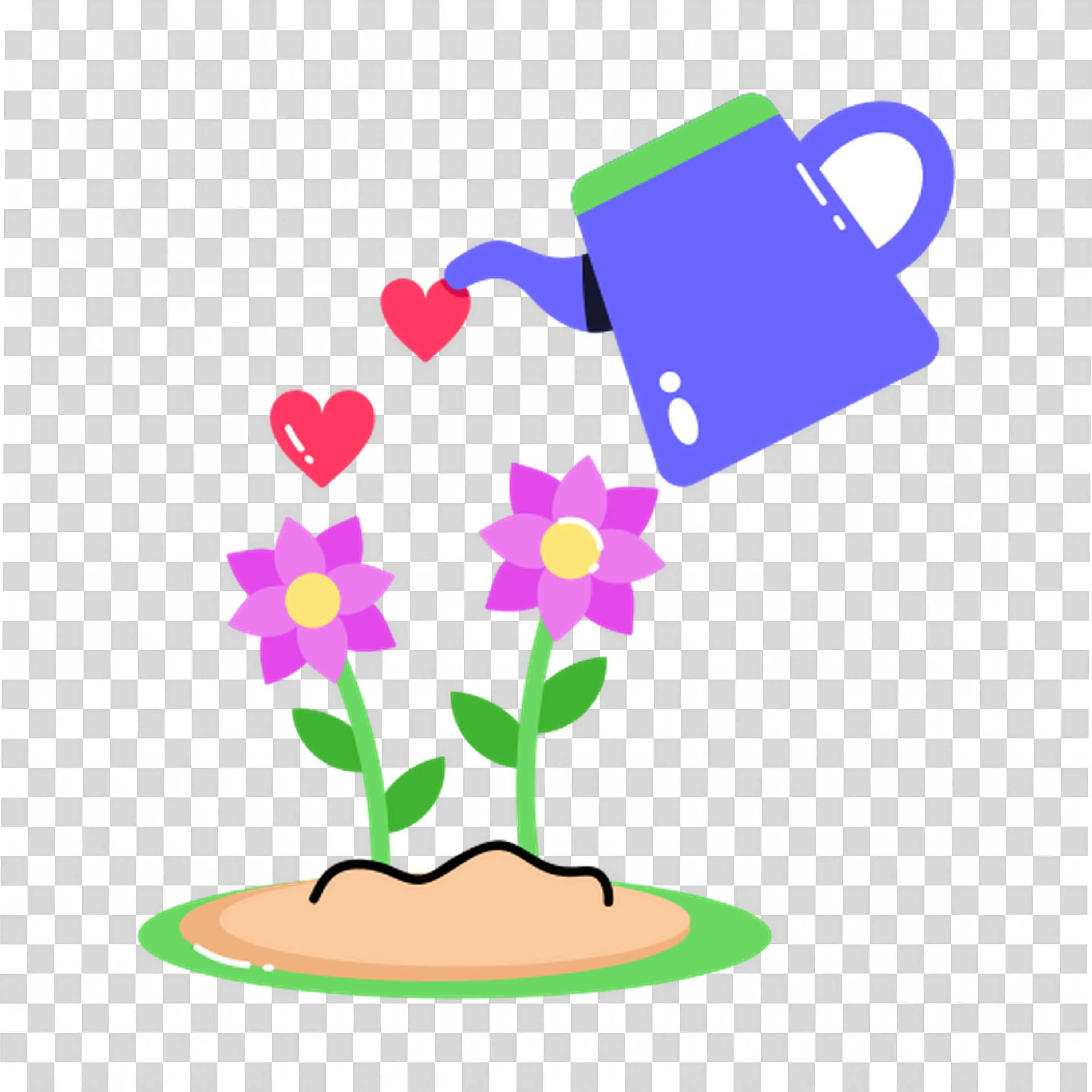 Watering Can Pouring Water on Growing Pink Flowers in Soil
