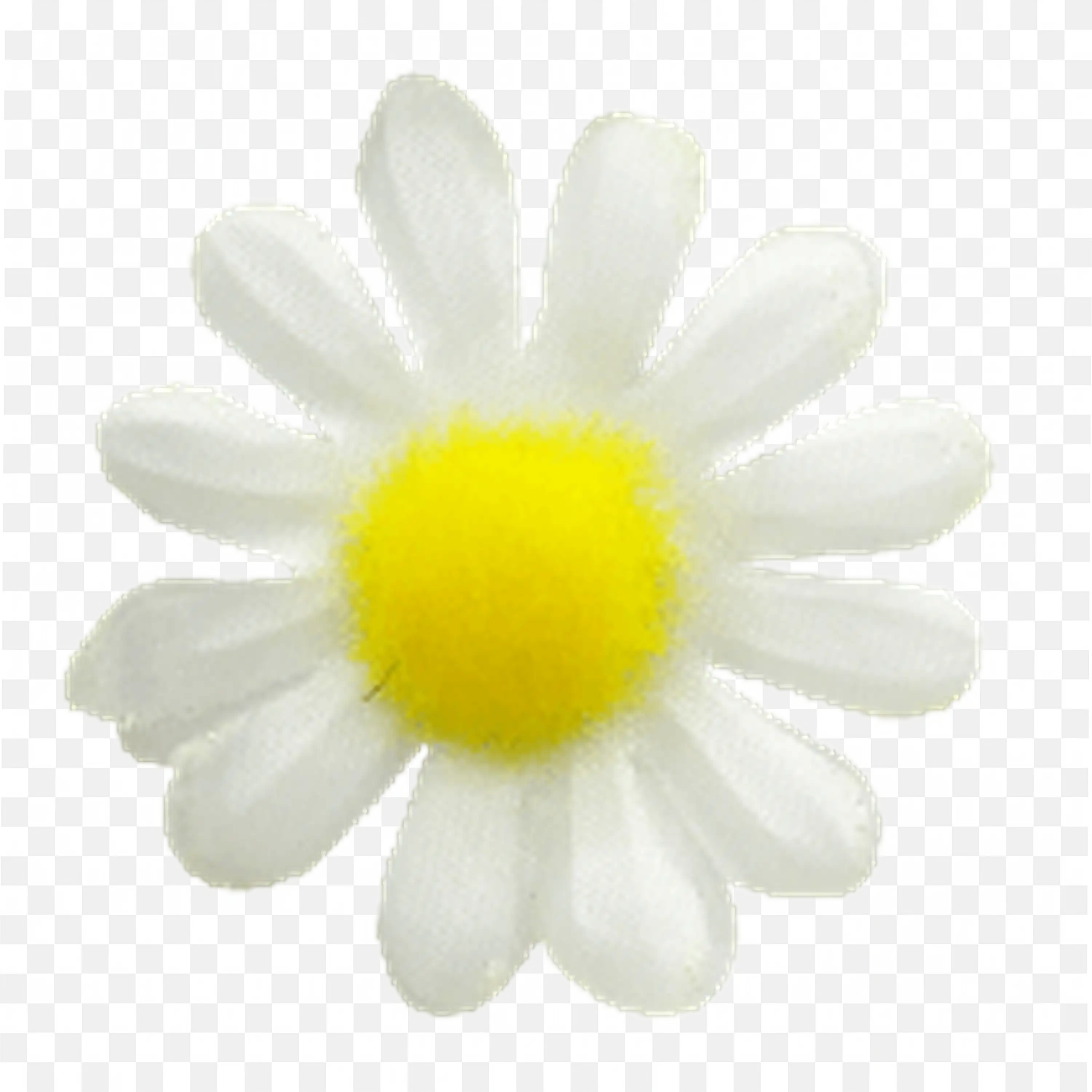 White Daisy Flower with Yellow Center Botanical Illustration