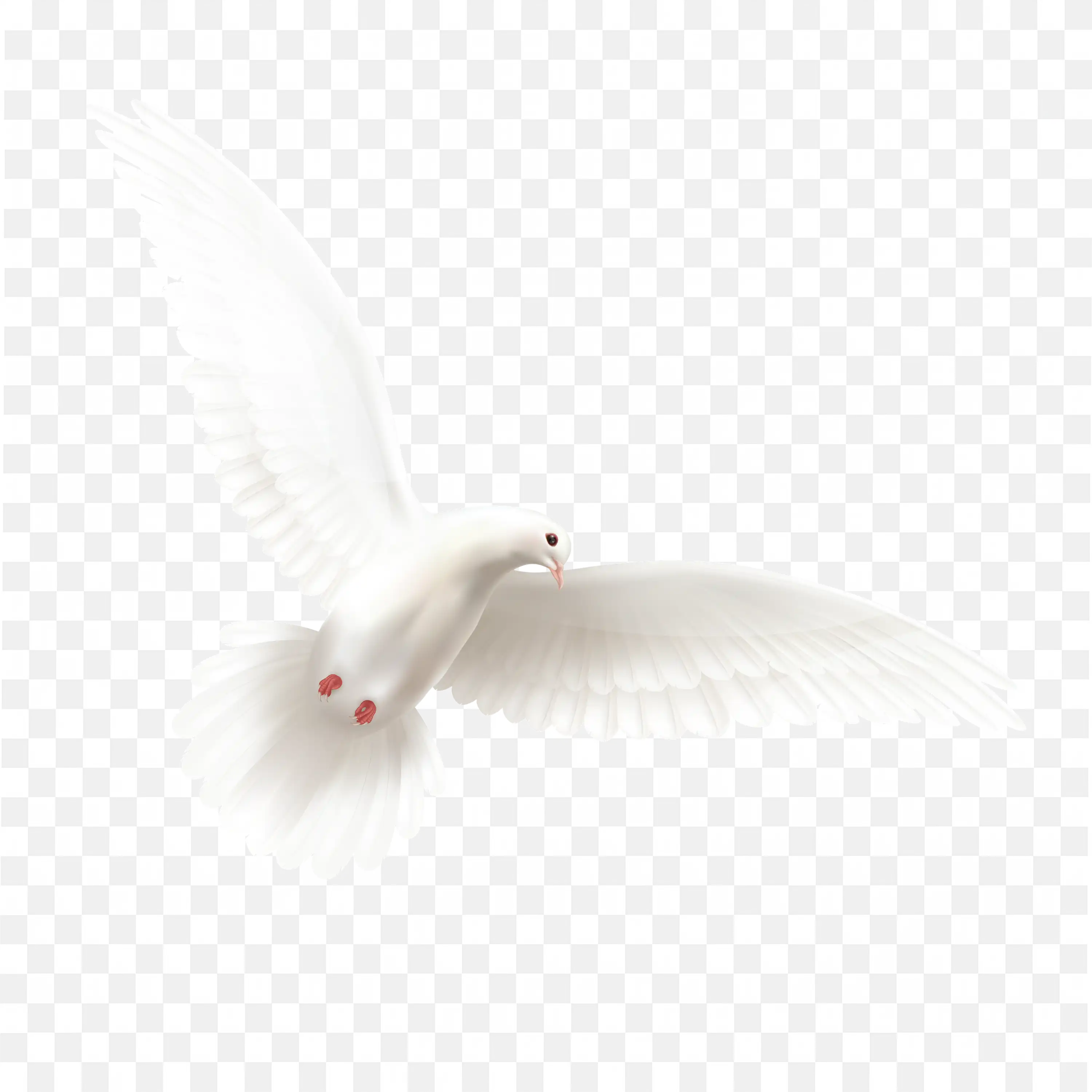 White Dove in Flight Elegant Pigeon on Plain Background PNG