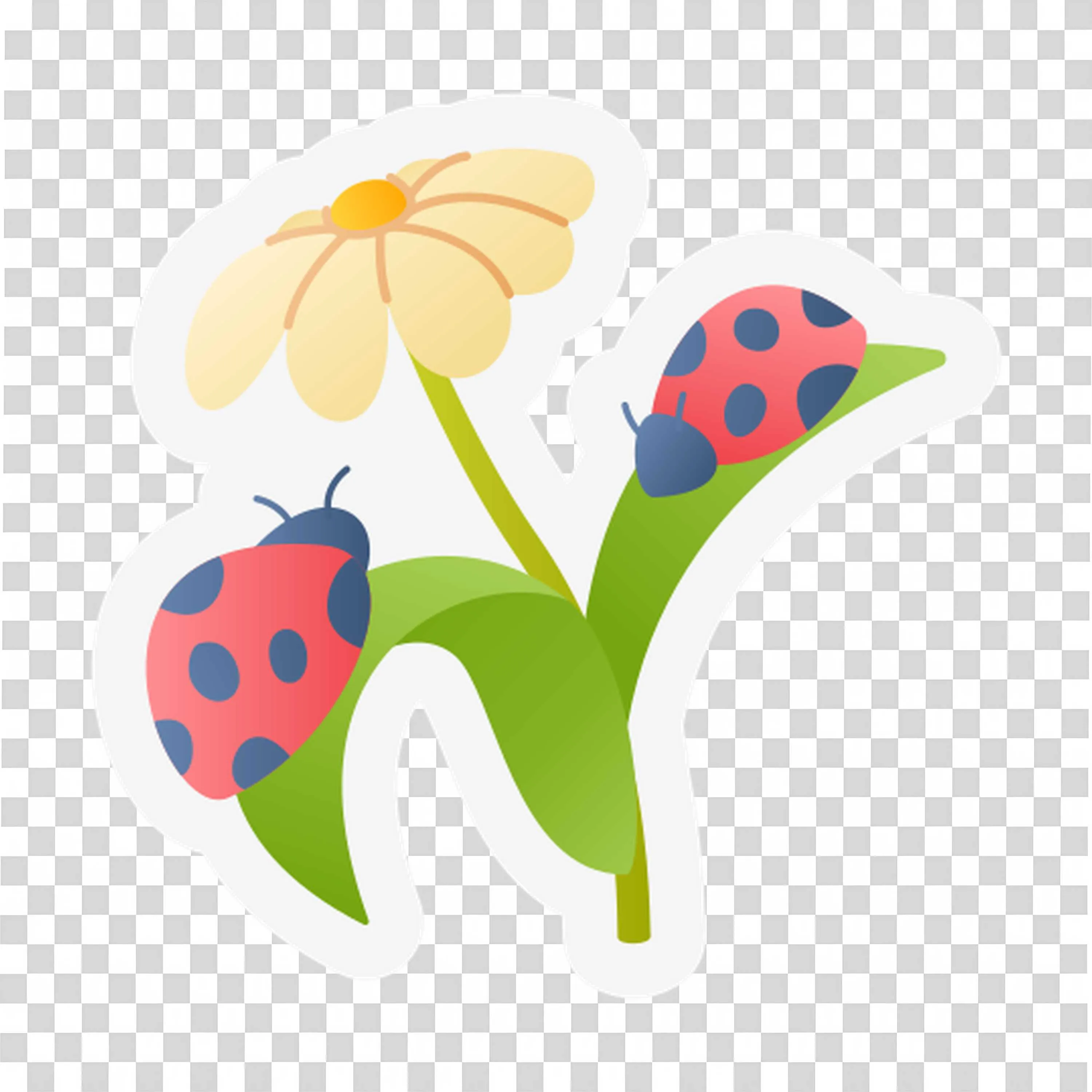 White Flower Stem with Ladybugs in a Natural Setting