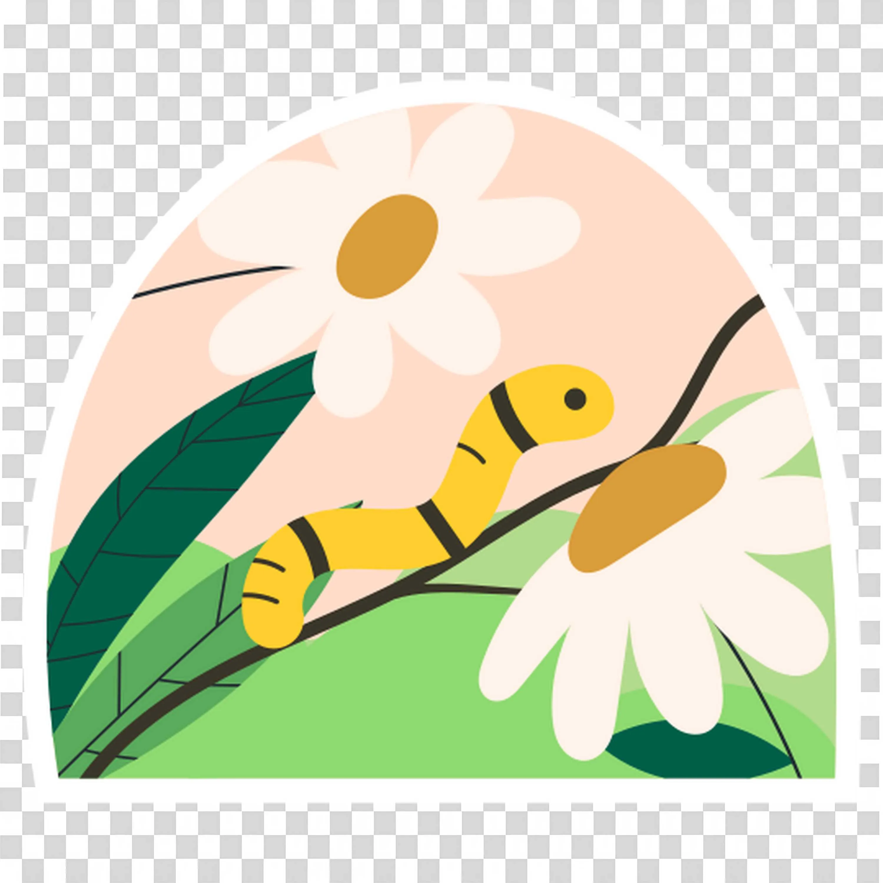 Yellow Bee Sitting on White Daisy Flower PNGImage