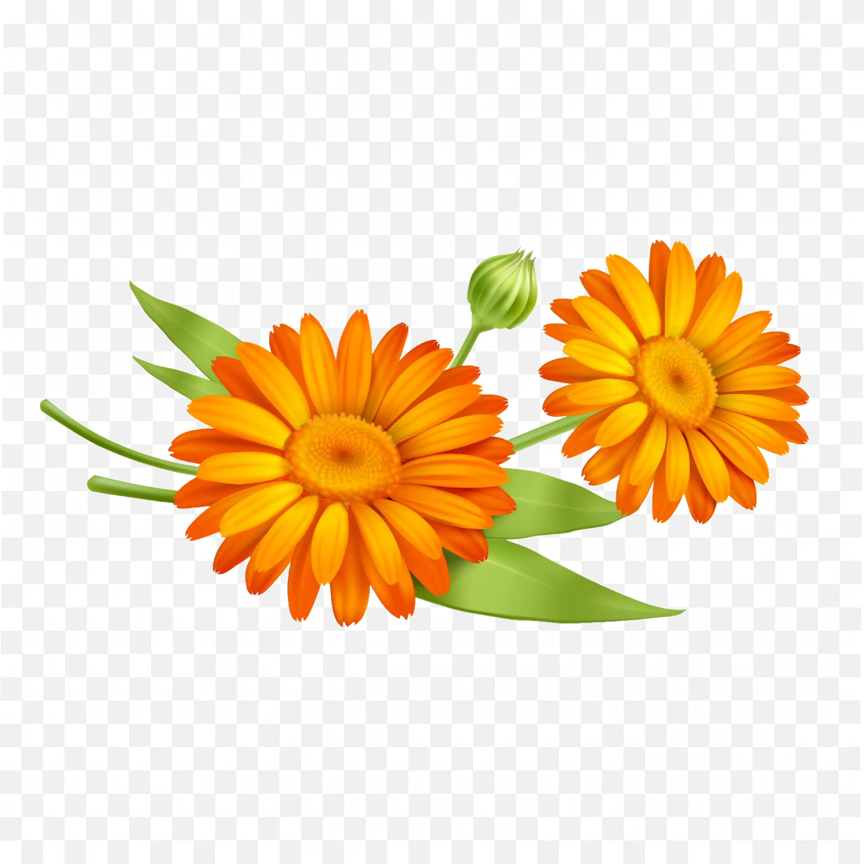Yellow Daisy PNG Nature Flower Clip Art Transparent Blossom