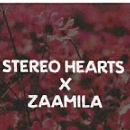 Stereo Hearts X Zaalima Song Ringtone Download Mp3 Format