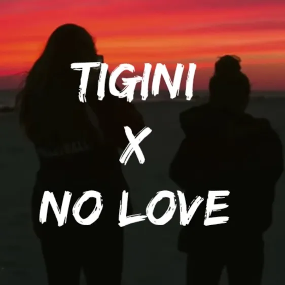 Tigini X No Love Instagram Trending BGM Ringtone Download