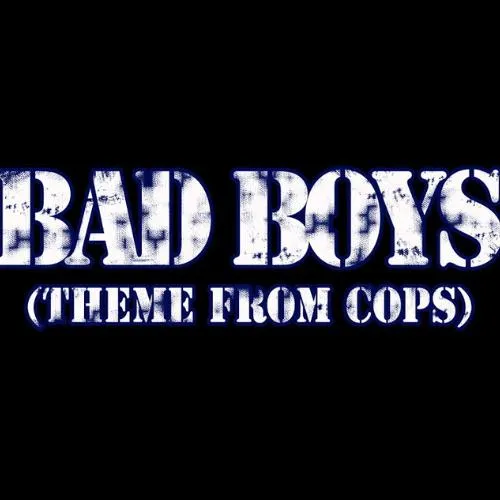 Bad Boys Cops Theme Bgm Famous Free Ringtone Mp3 Format