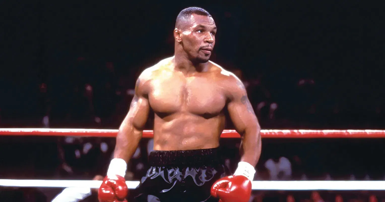 Tyson in Boxing Stance