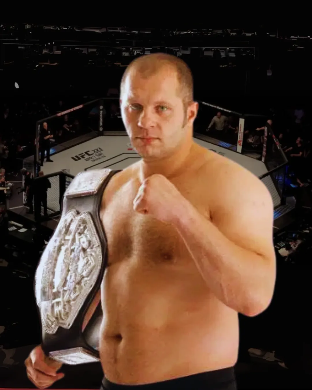 Fedor Vladimirovich Emelianenko