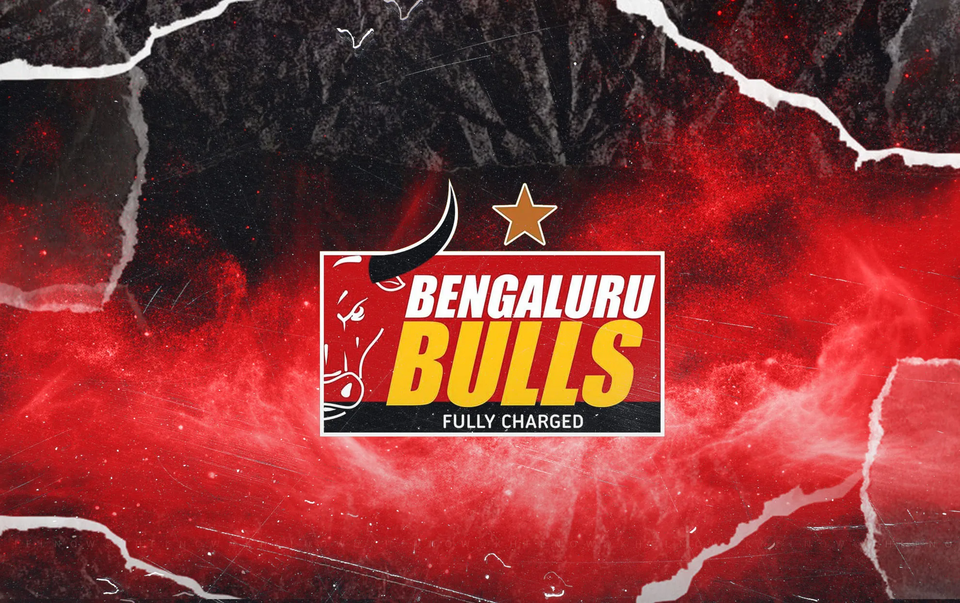 Bengaluru Bulls