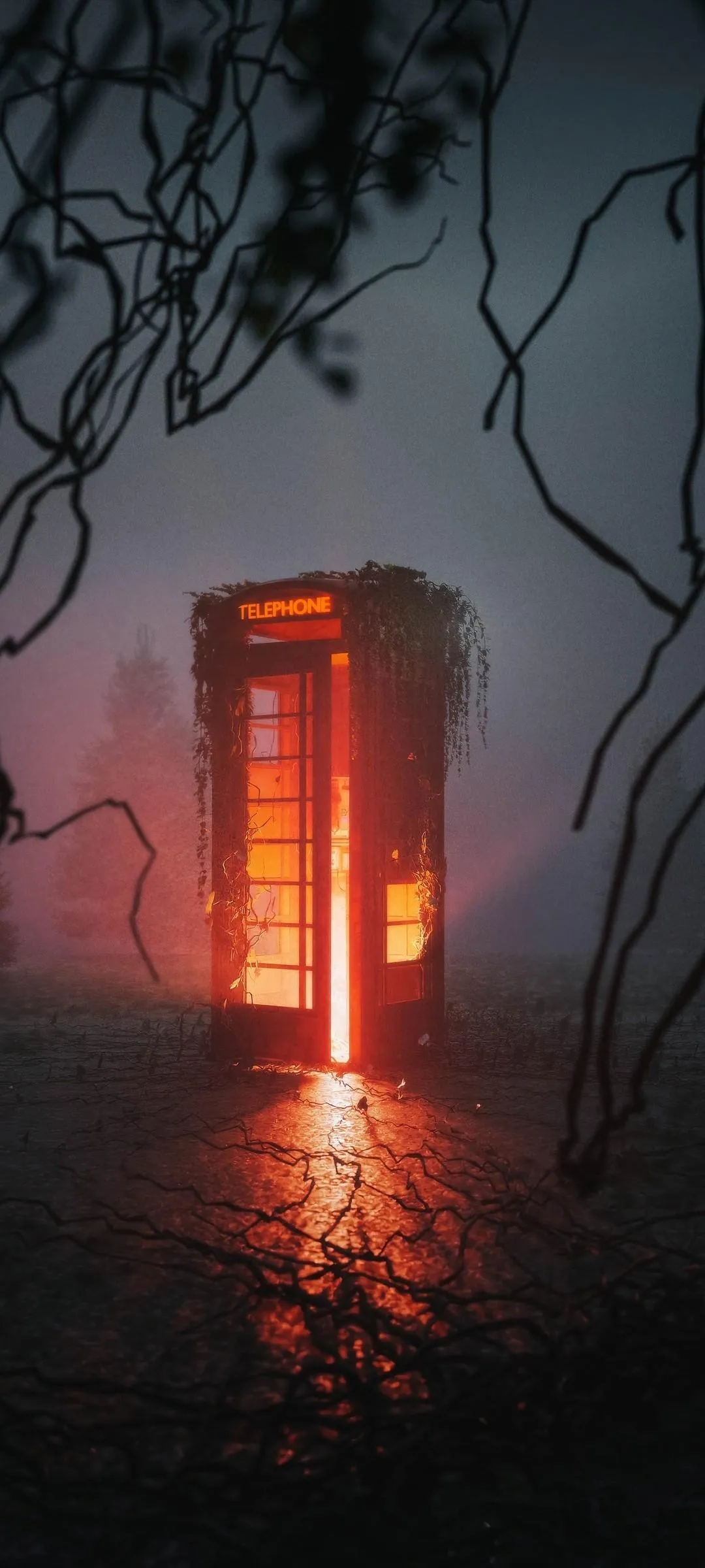 Abandoned Phone Booth Glows Bright in the Midnight Forest