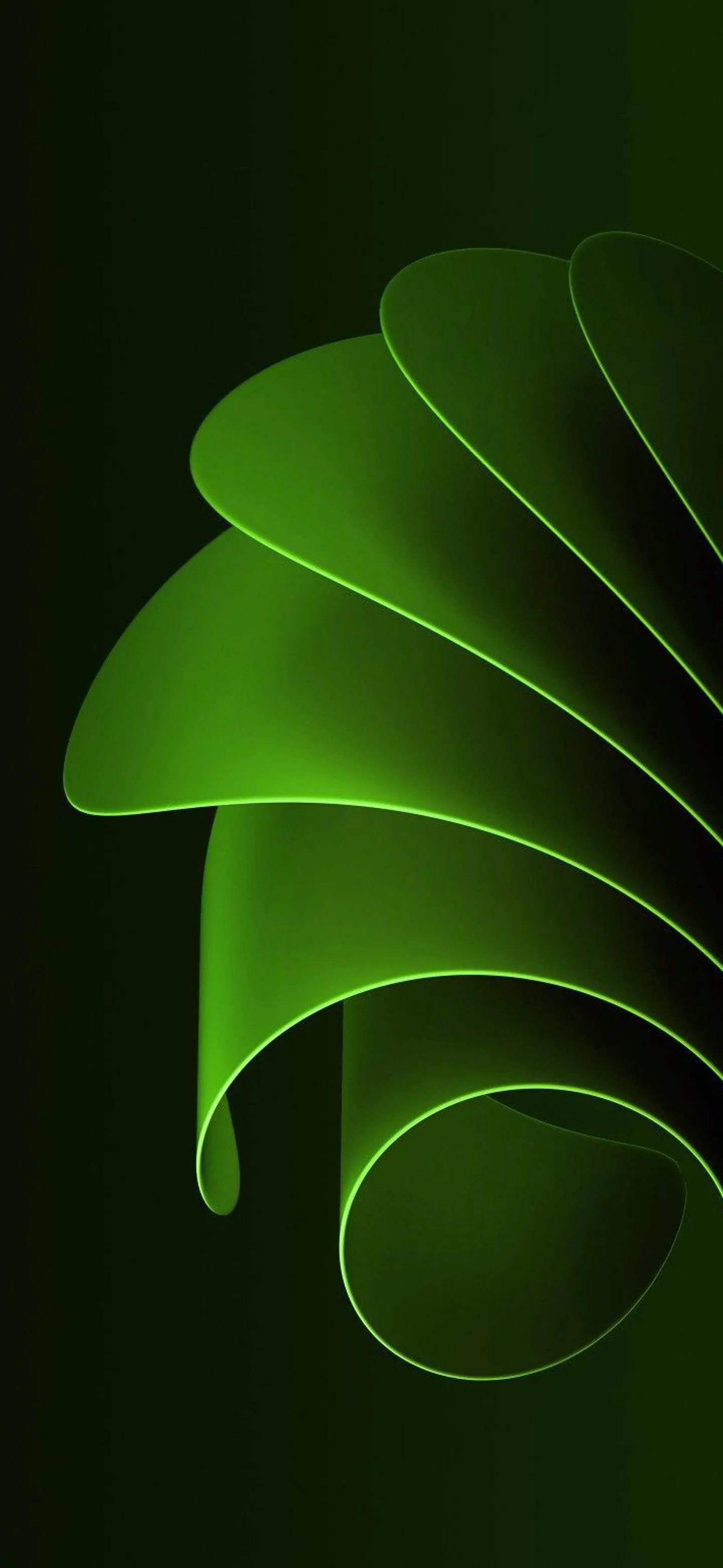 Abstract Green 3D Curves with Smooth Lighting Art Wallpaper