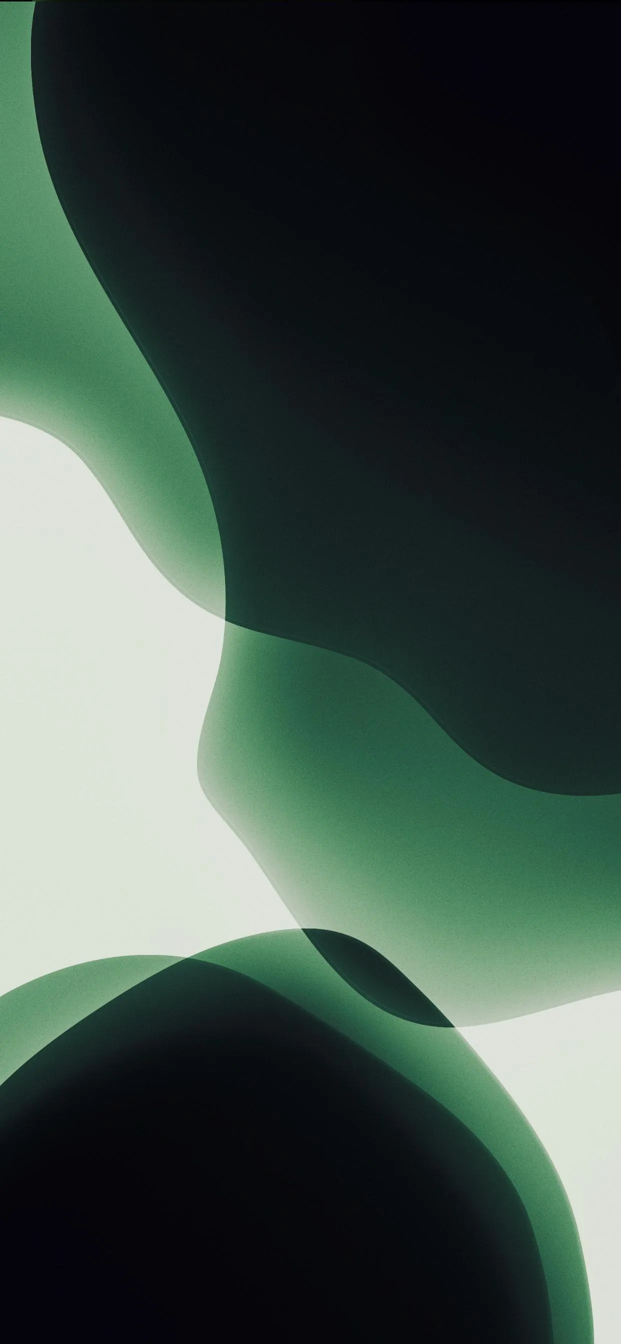 Abstract Green and White Curves with Modern Art Style